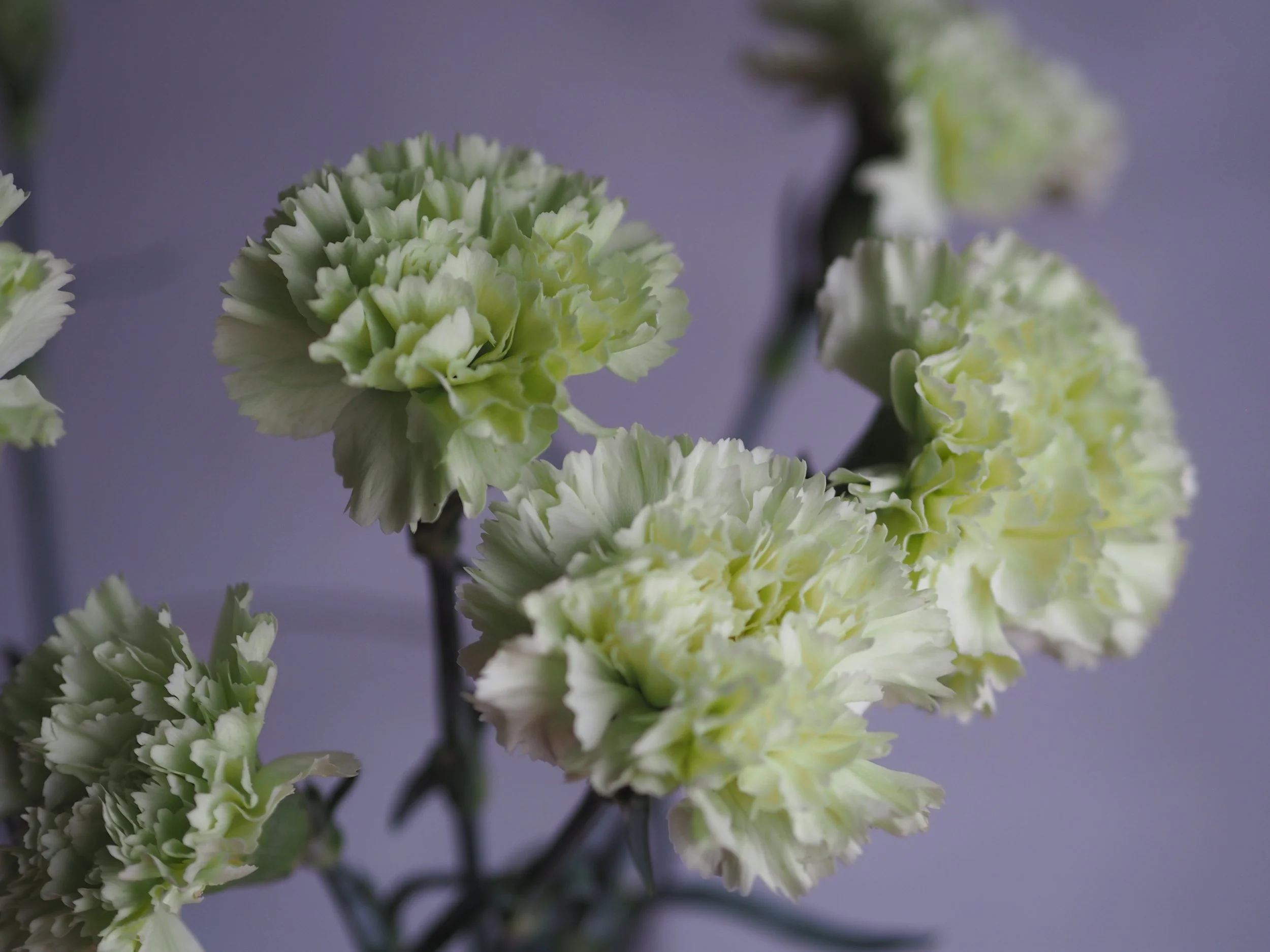 人生海波浪（NOV. 2021）