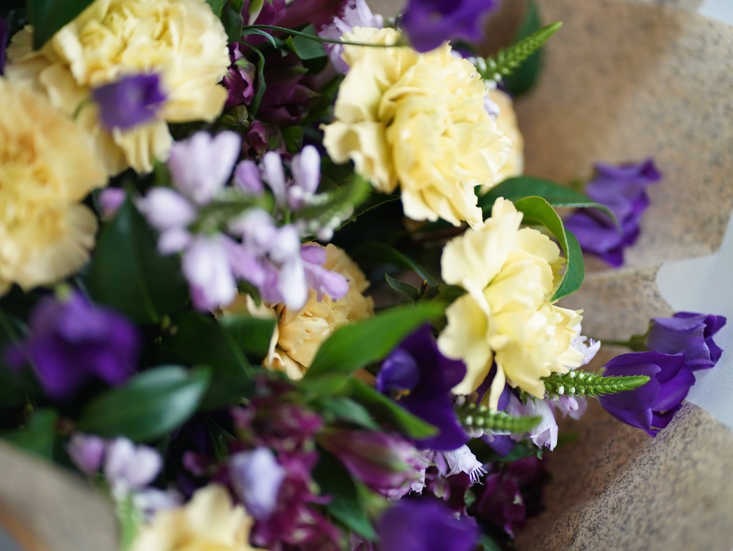 開始與結束（JAN. 2022）