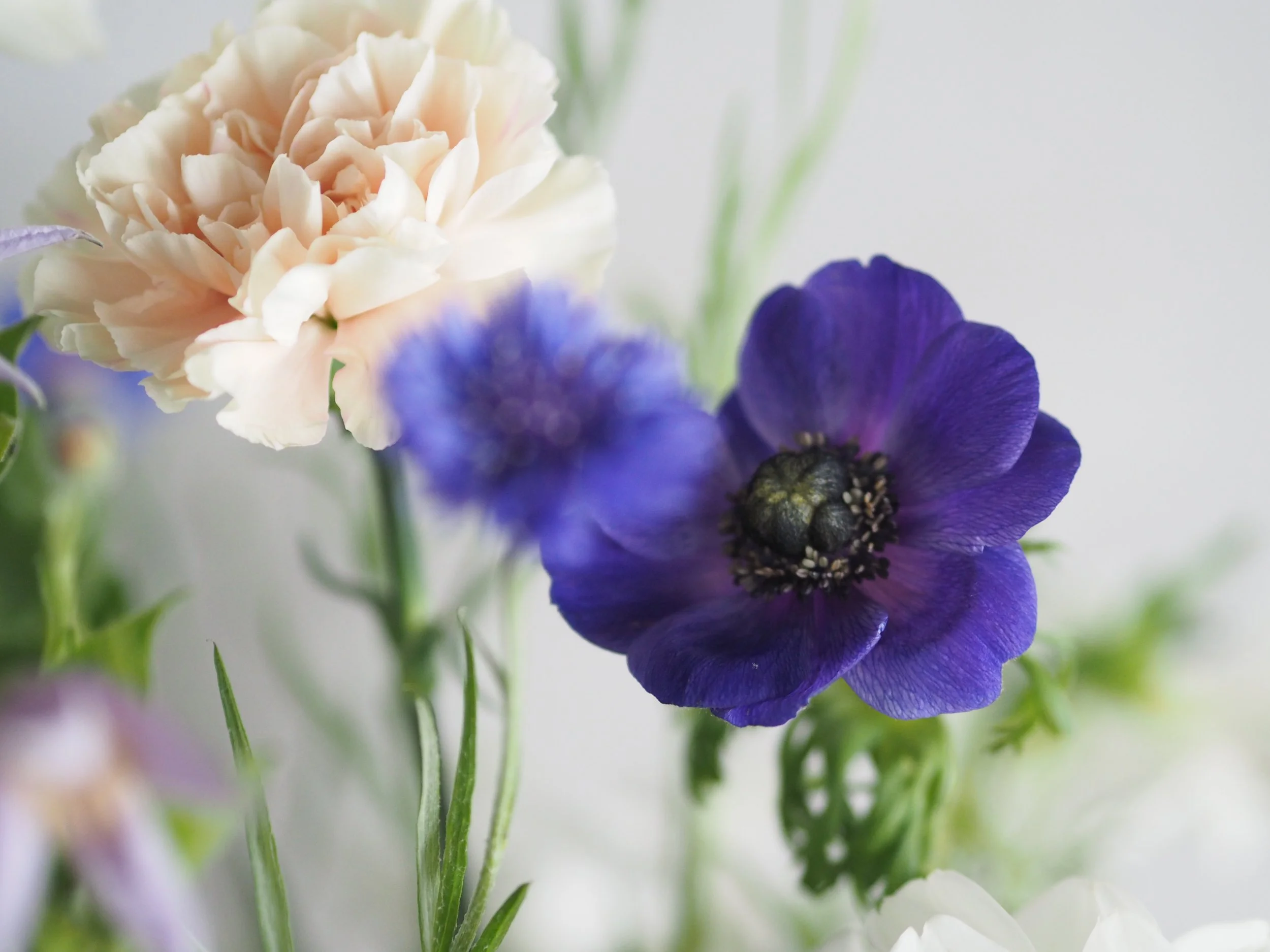 心的界線 （MAY. 2022）