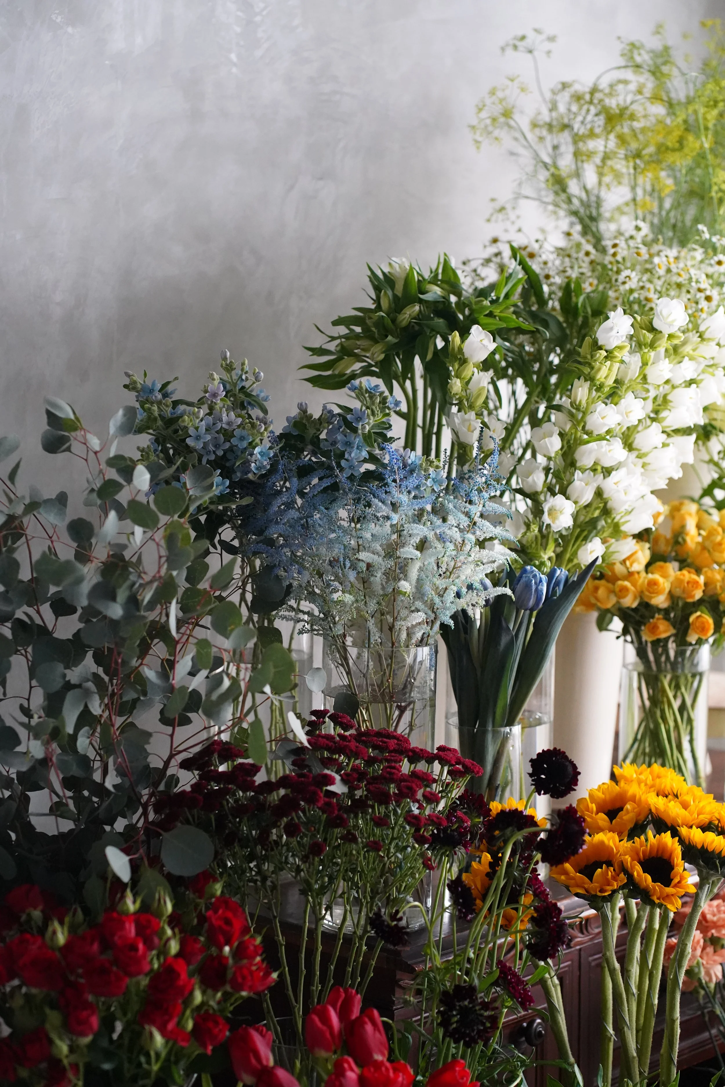 卡佩迪恩 Carpe Diem （FEB. 2023） 