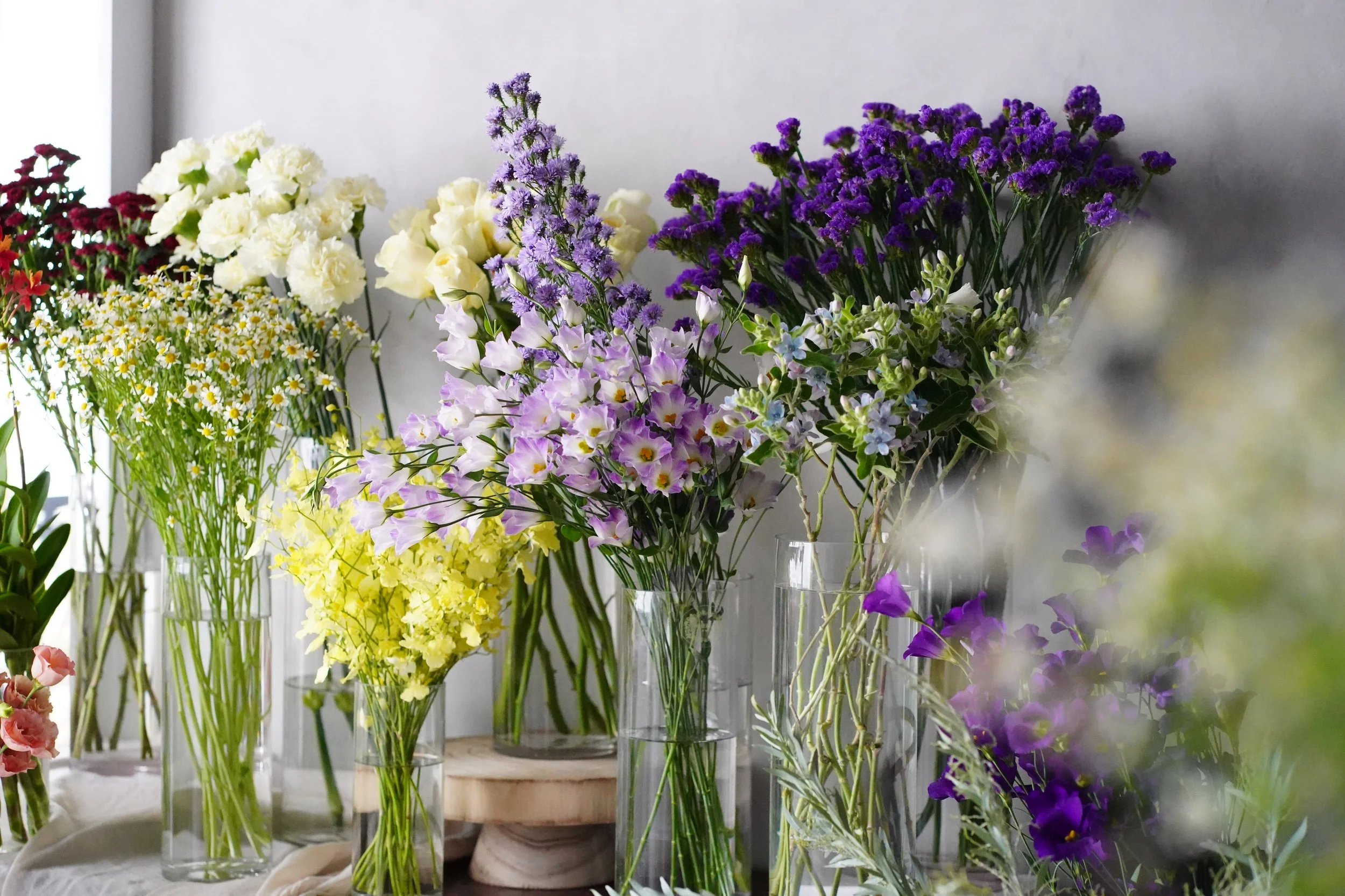 致世界各地的生活 to lives（APR. 2023） 