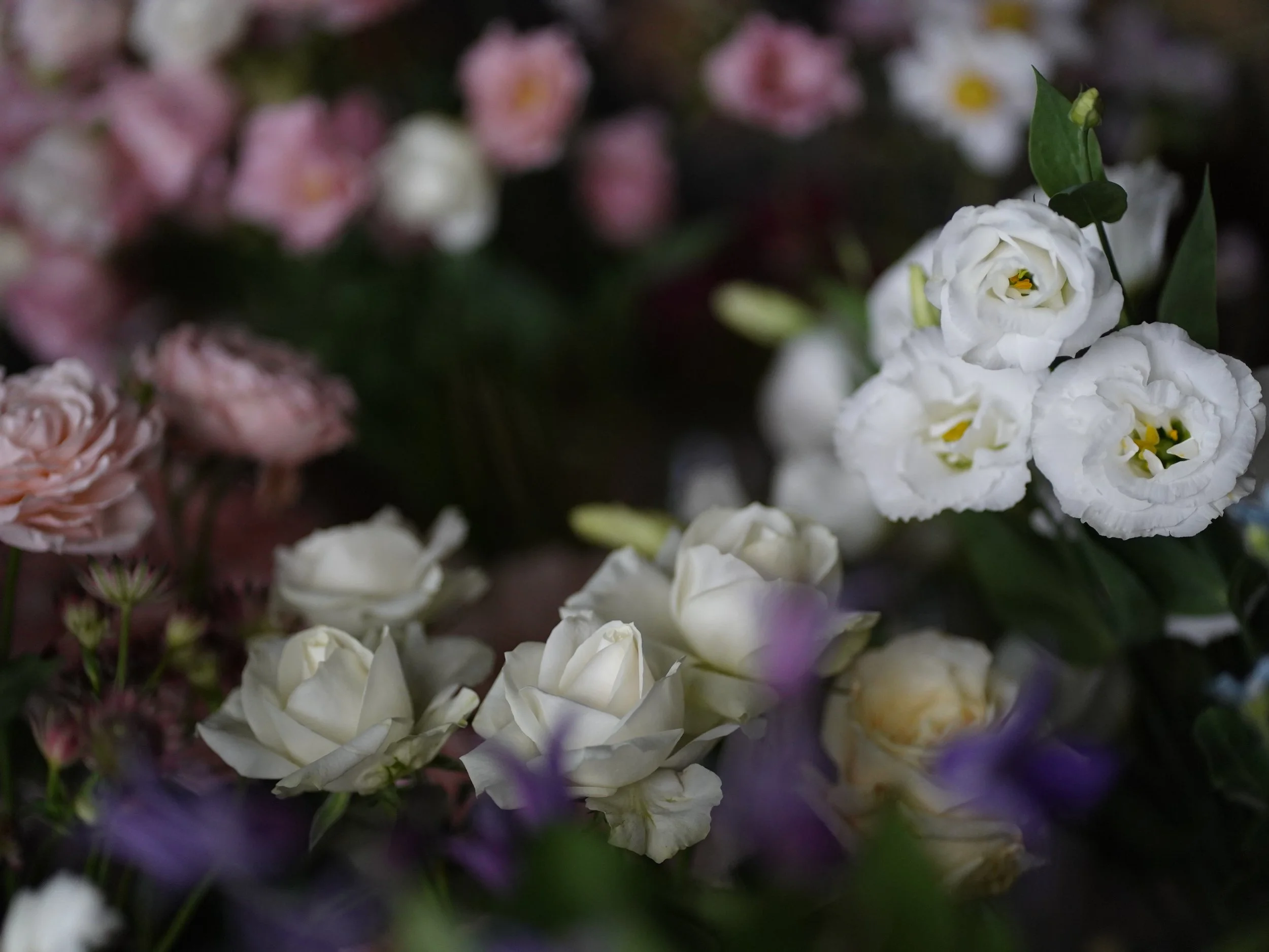 在路上 on the road（MAY. 2023)