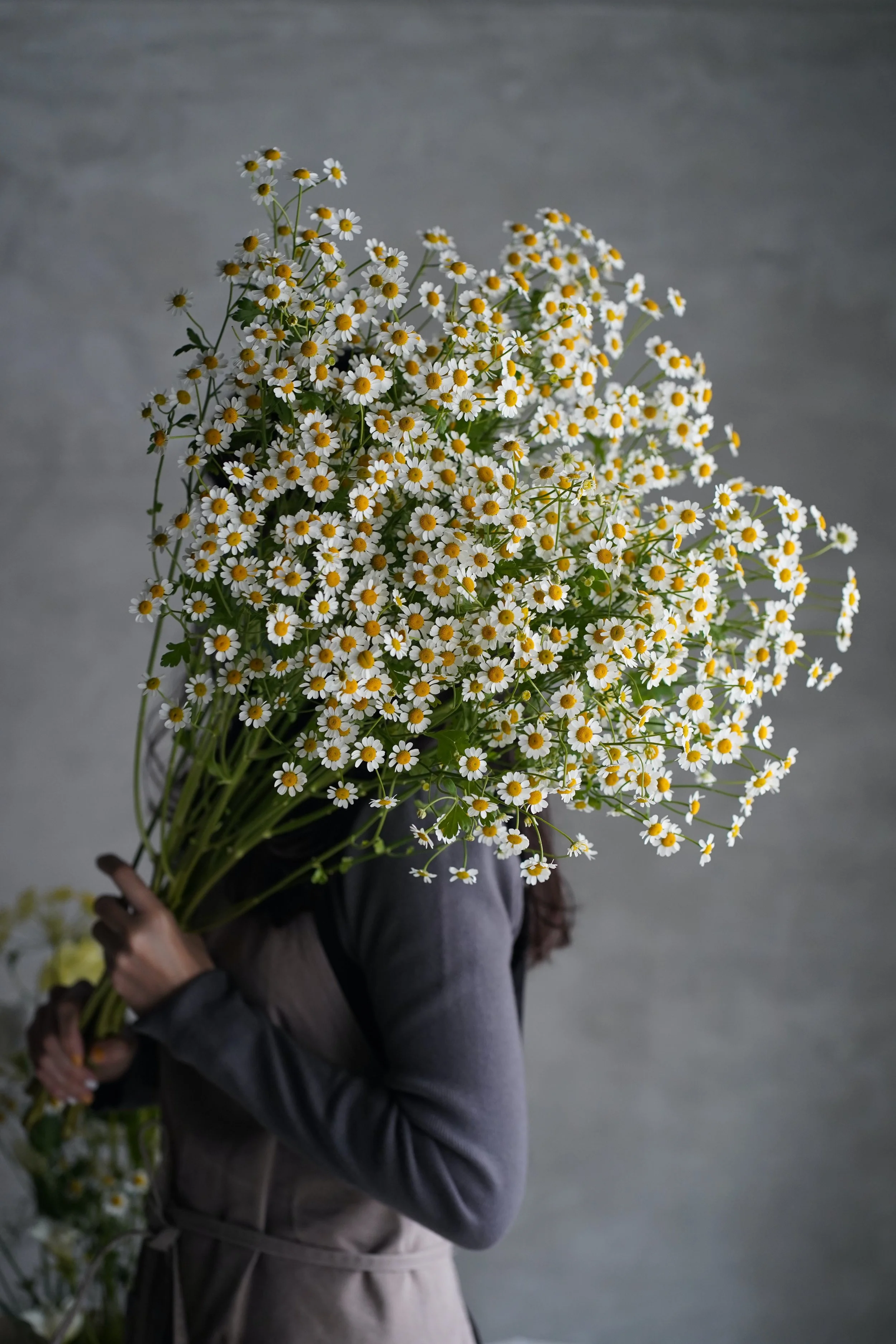 好好說抱歉 about Apology（JULY. 2023)  