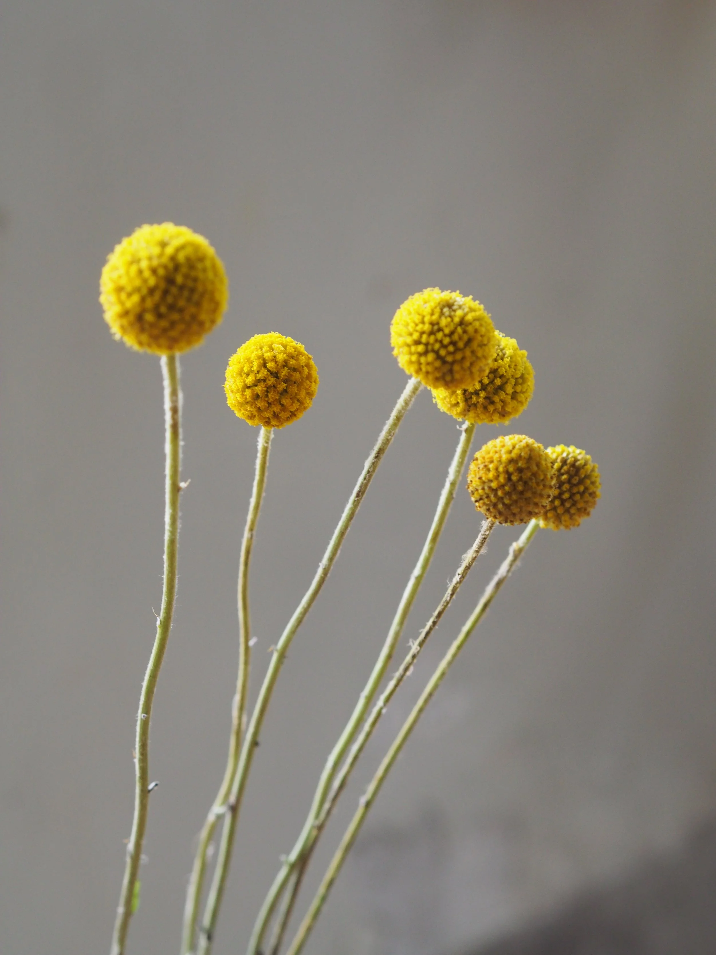 來自宇宙的訊息   A message from the Universe（MAY 2024）