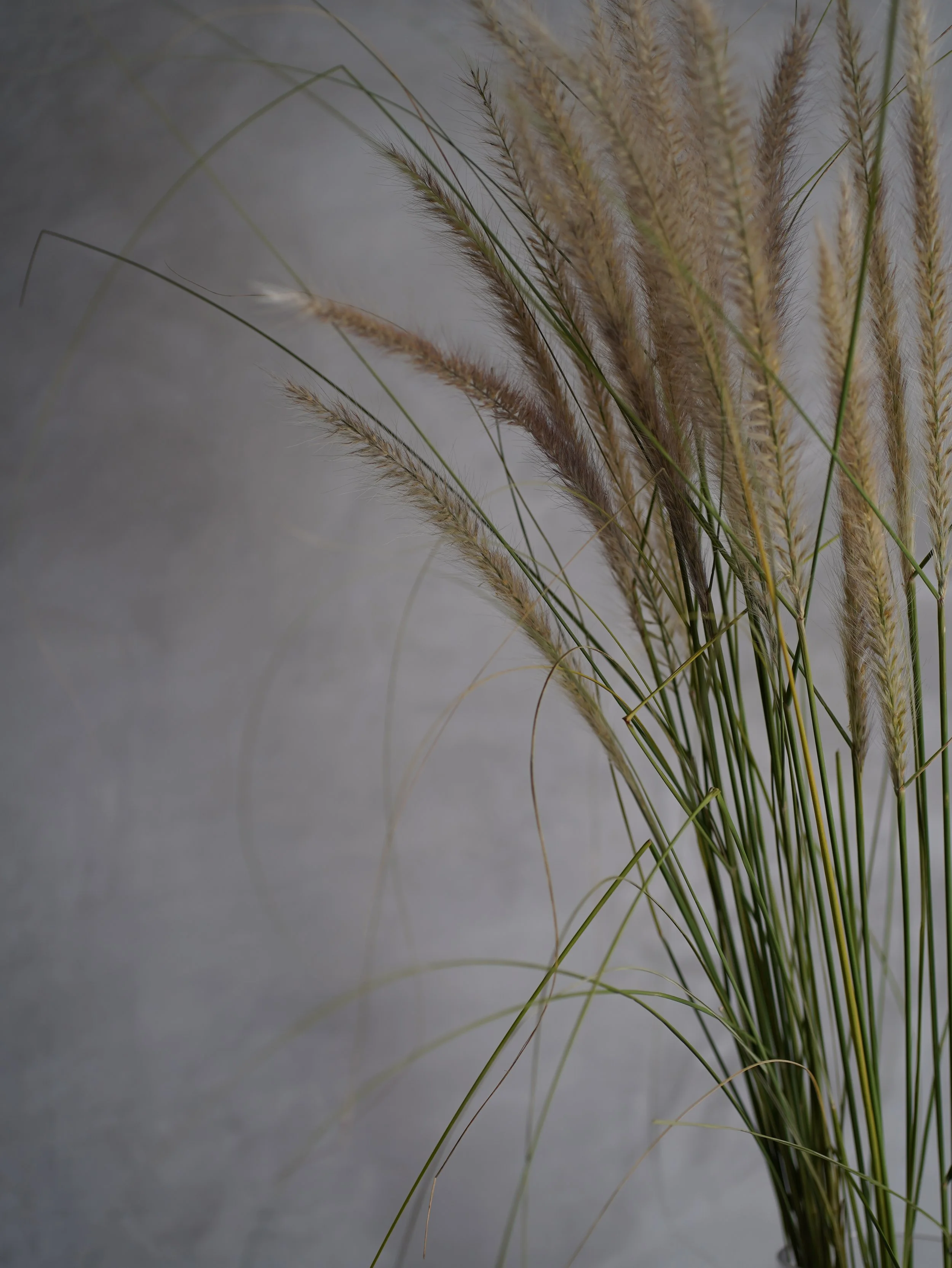 當生活是泥土捏成的  Life Made of Earth（SEP 2024） 