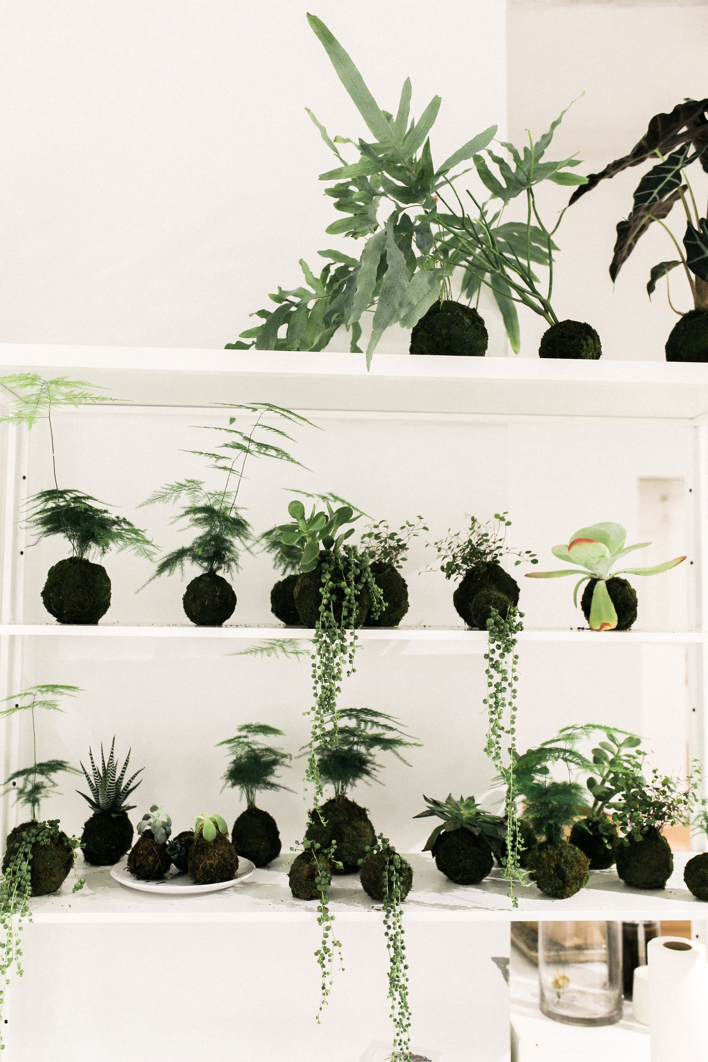 the_aviary_botany_and_co_workshop.jpg