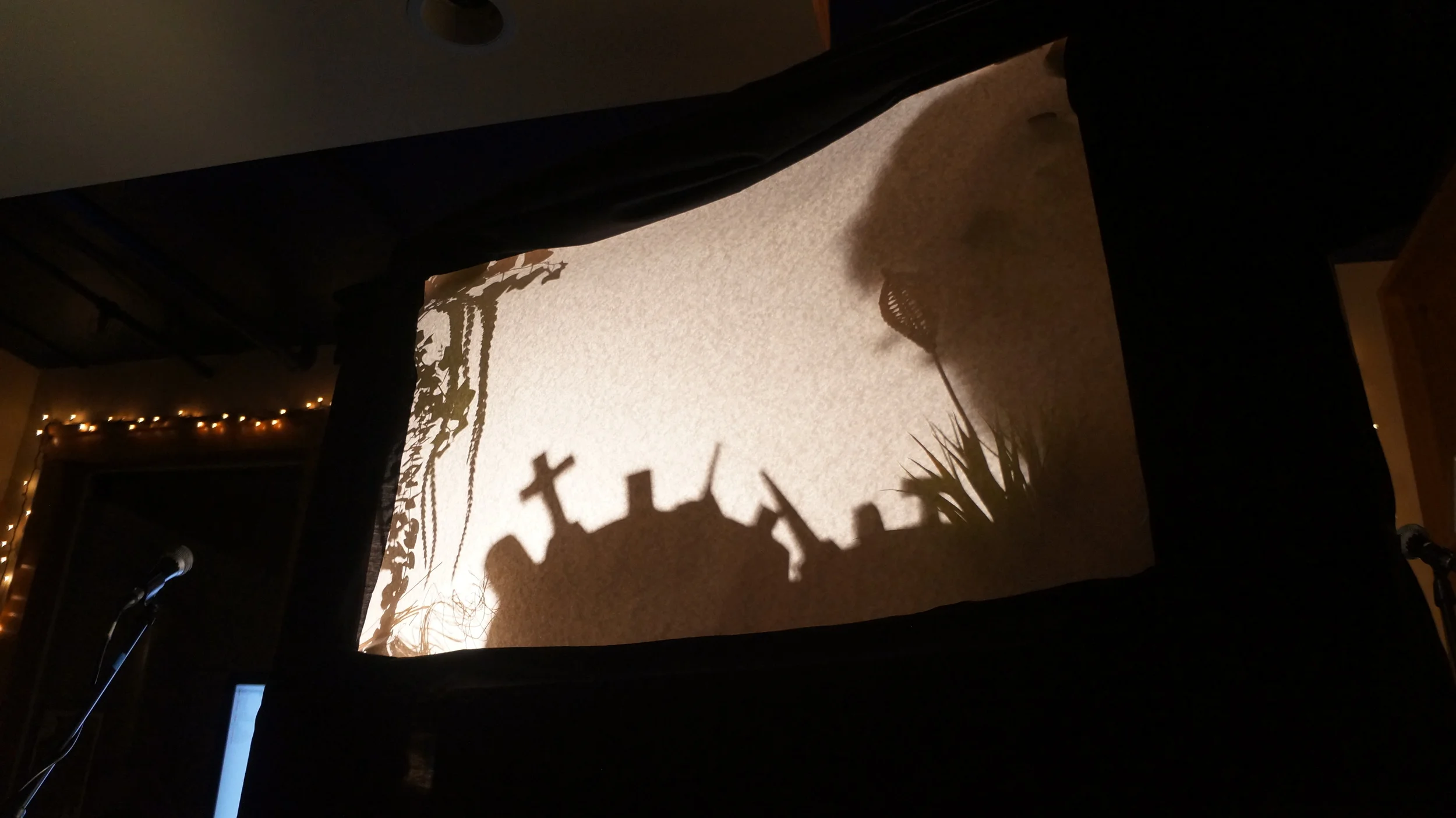 Scot's shadow theater.JPG