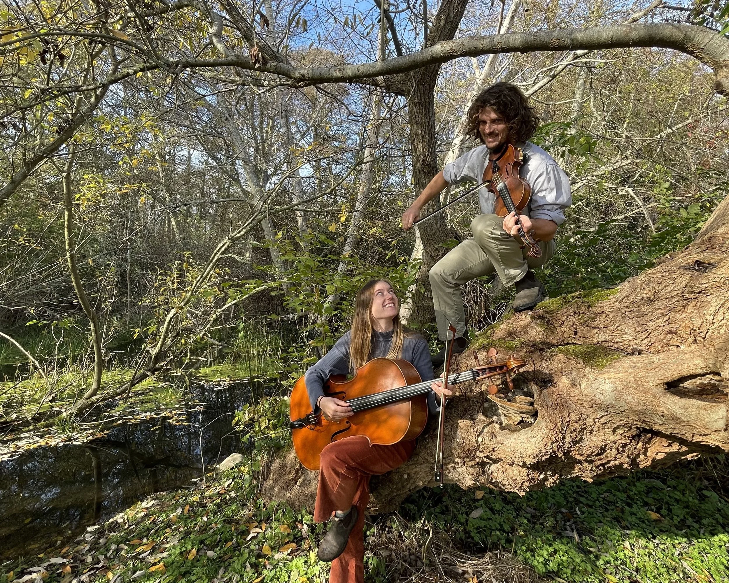 Fritillary, Bauman and Vogt