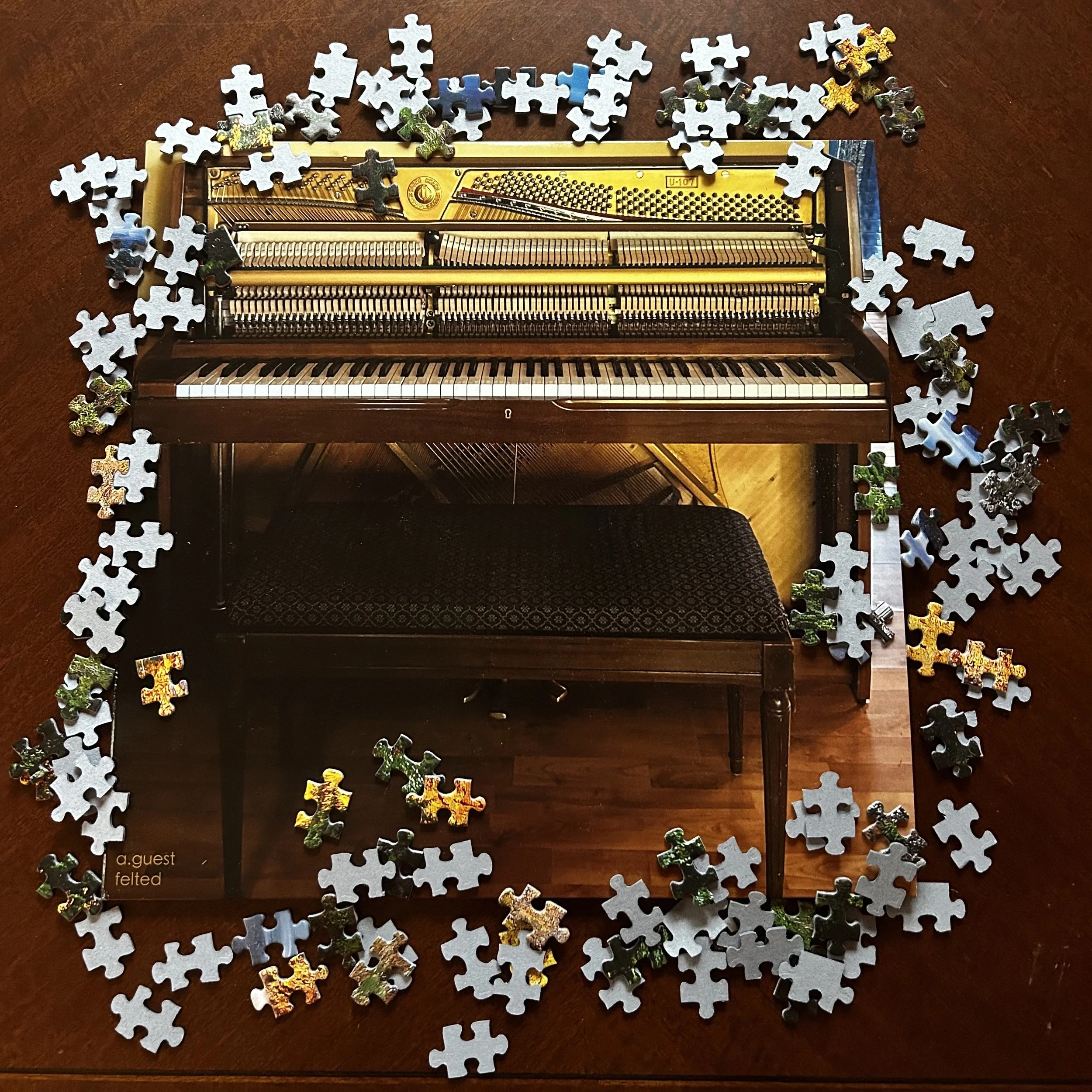 Piano &amp; Puzzles w/ Aaron Guest