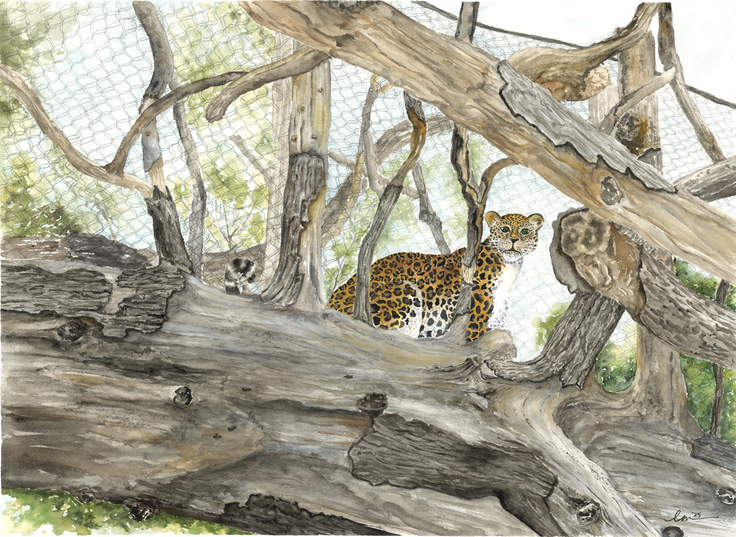 Screenshot 2025-11-18 at 10.08.07 PM.png