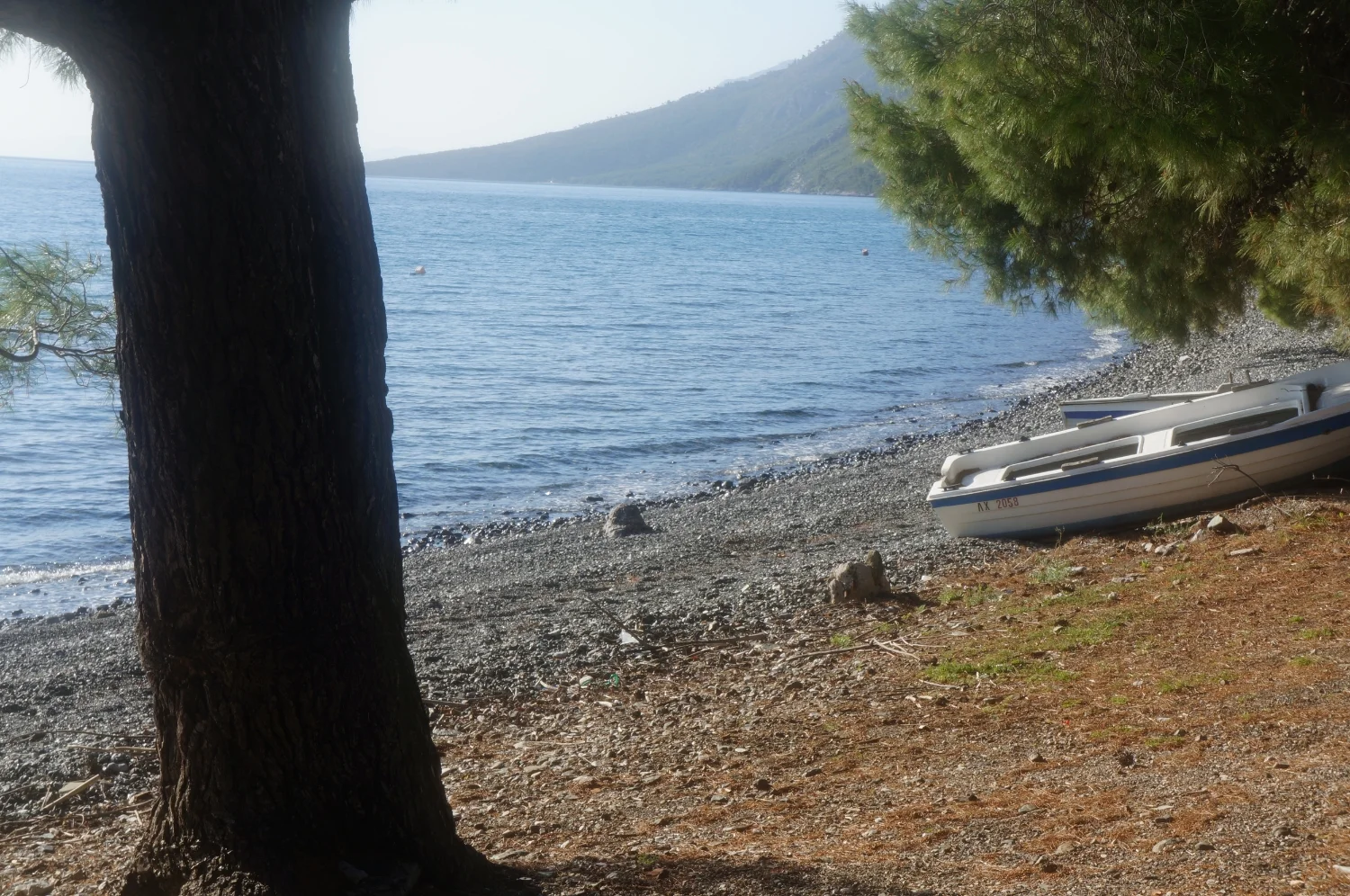 DSC00791.JPG