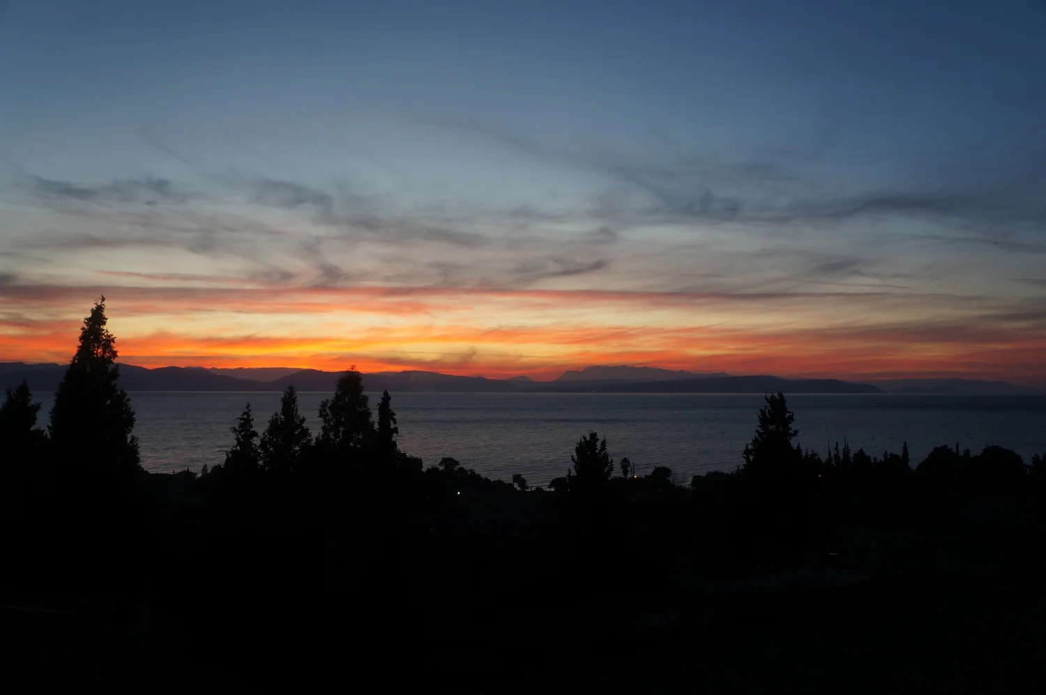 DSC02876.JPG