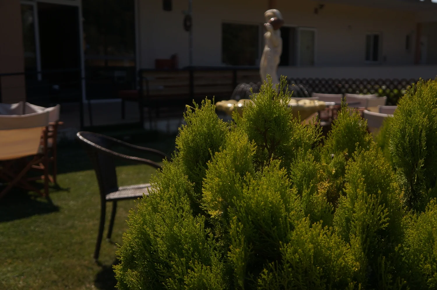 DSC02378.JPG