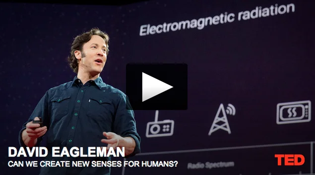 David Eagleman: Can we create new senses for humans?