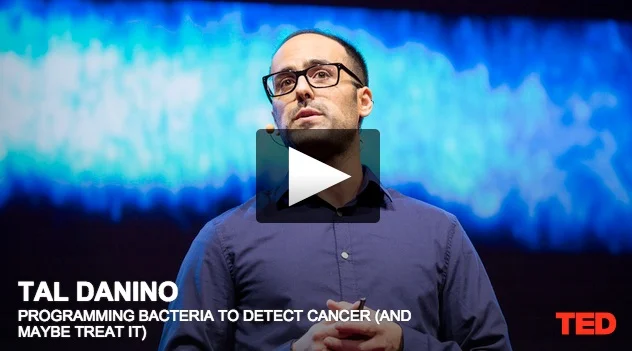 Tal Danino: We Can Use Bacteria to Detect Cancer And Maybe Treat It