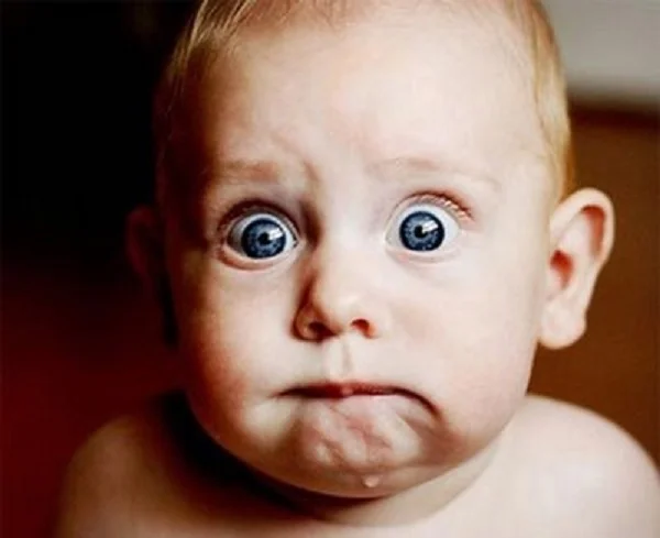 SHOCK Emergencies: Lecture with Dr. Cleveland