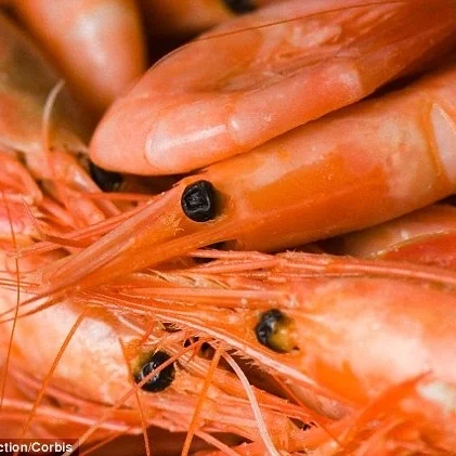 Pants Full of Shrimp