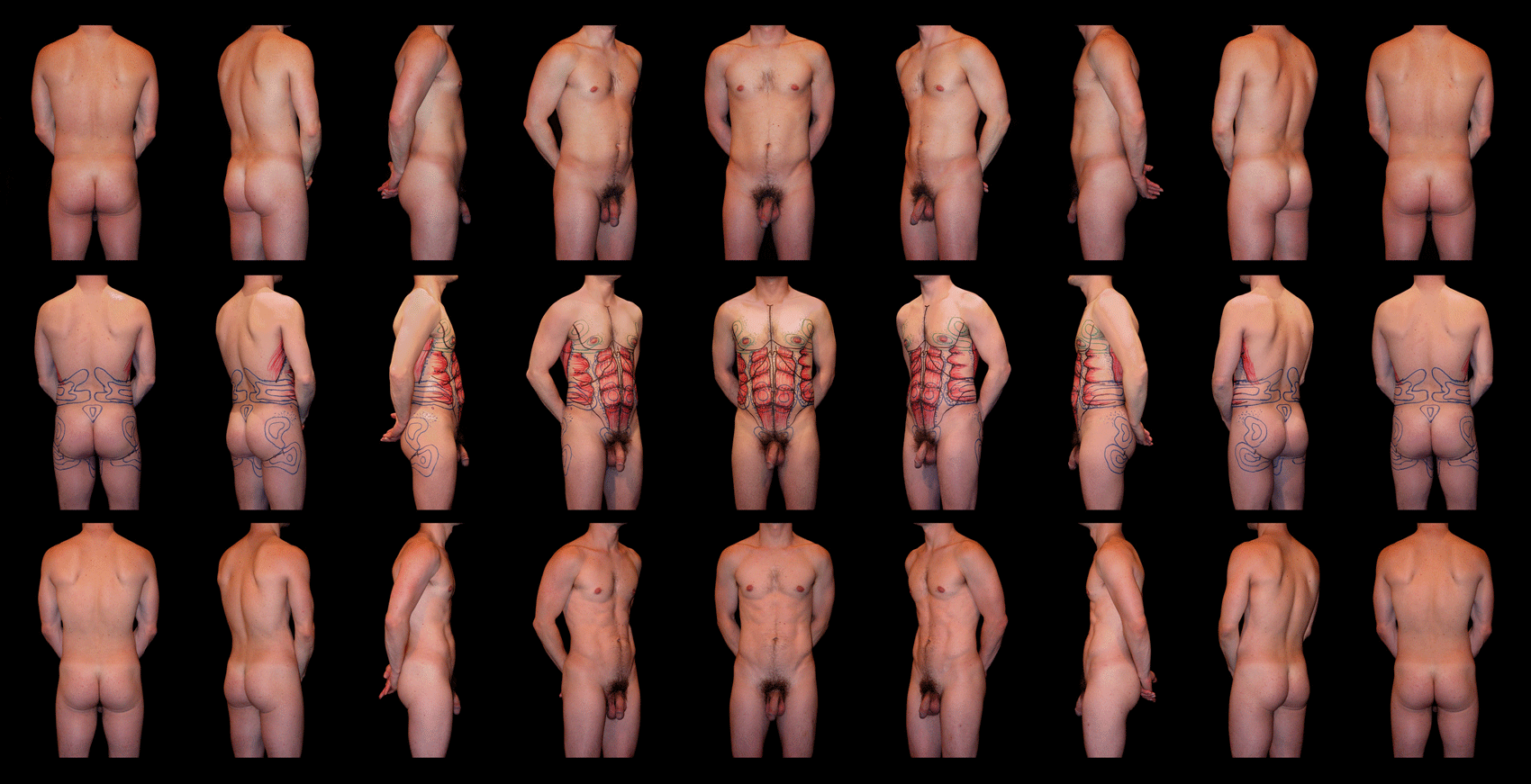 Anatomically-Based-Circumfe.gif