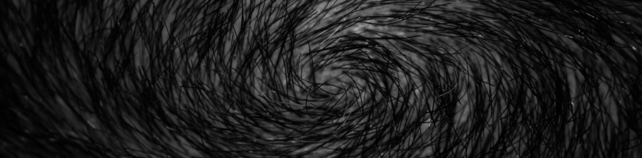 Whorl-reduced.gif