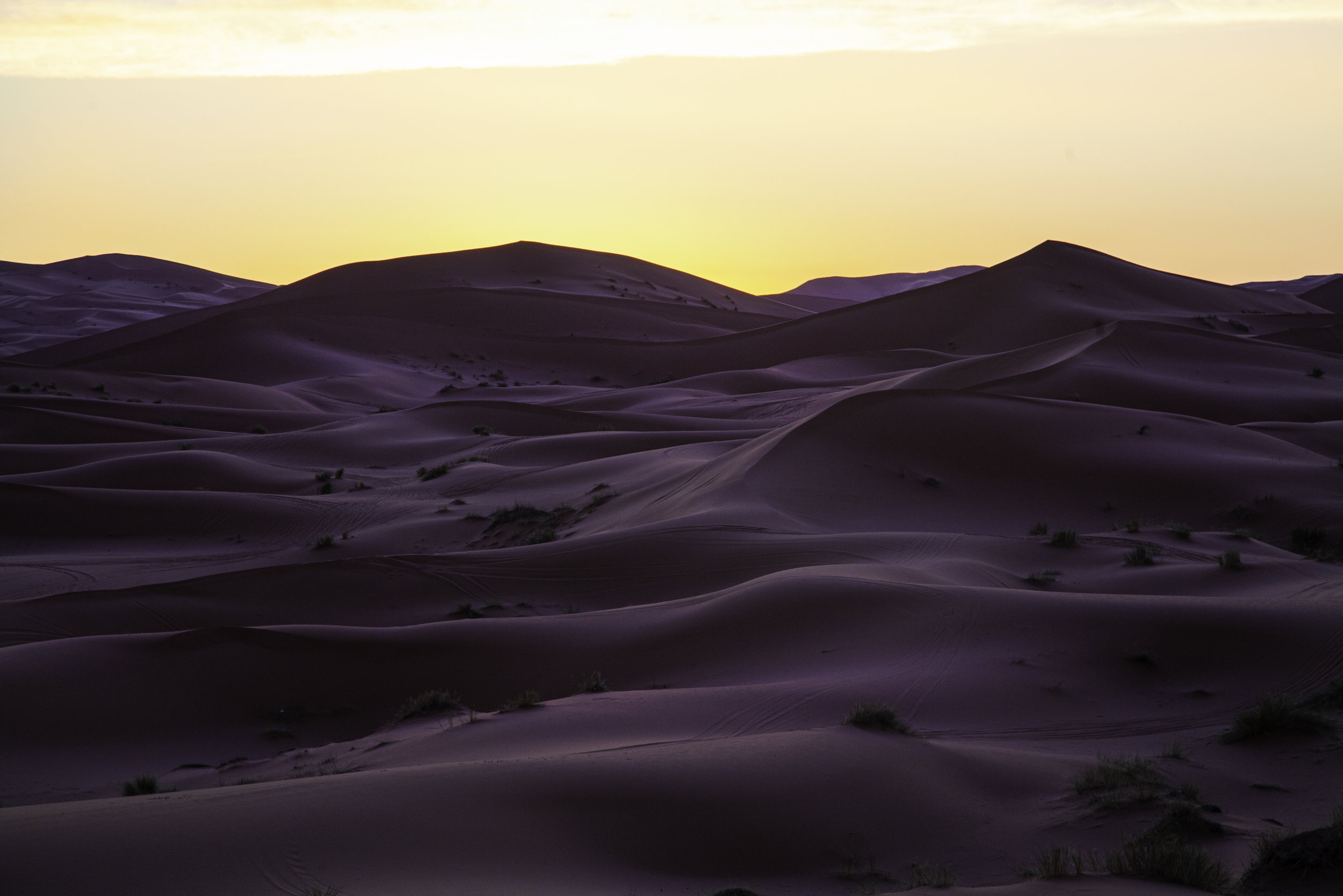 Sahara Desert Sunrise 