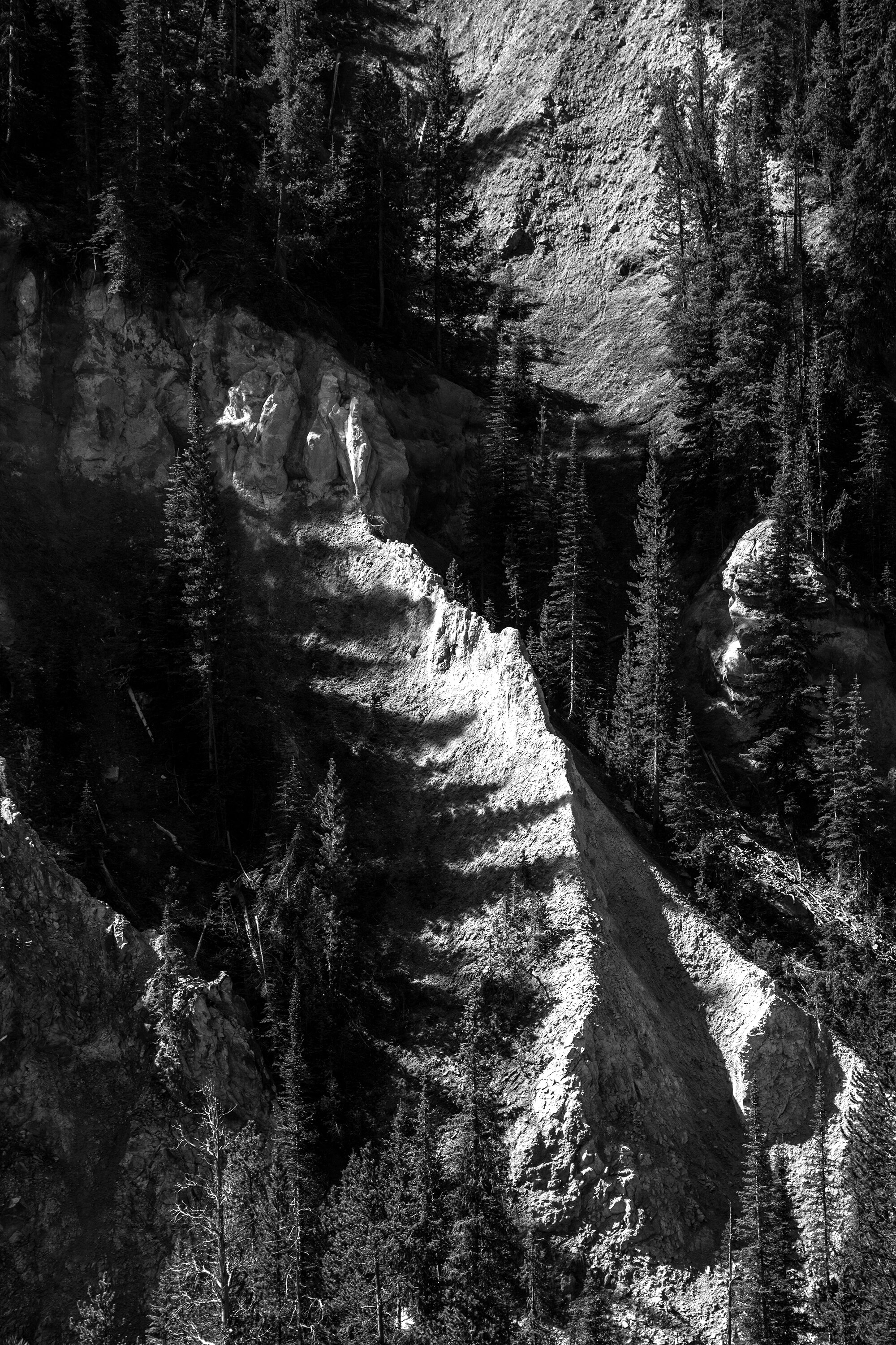 MOUNTAINSIDE ABSTRACT / WYOMING / 2015