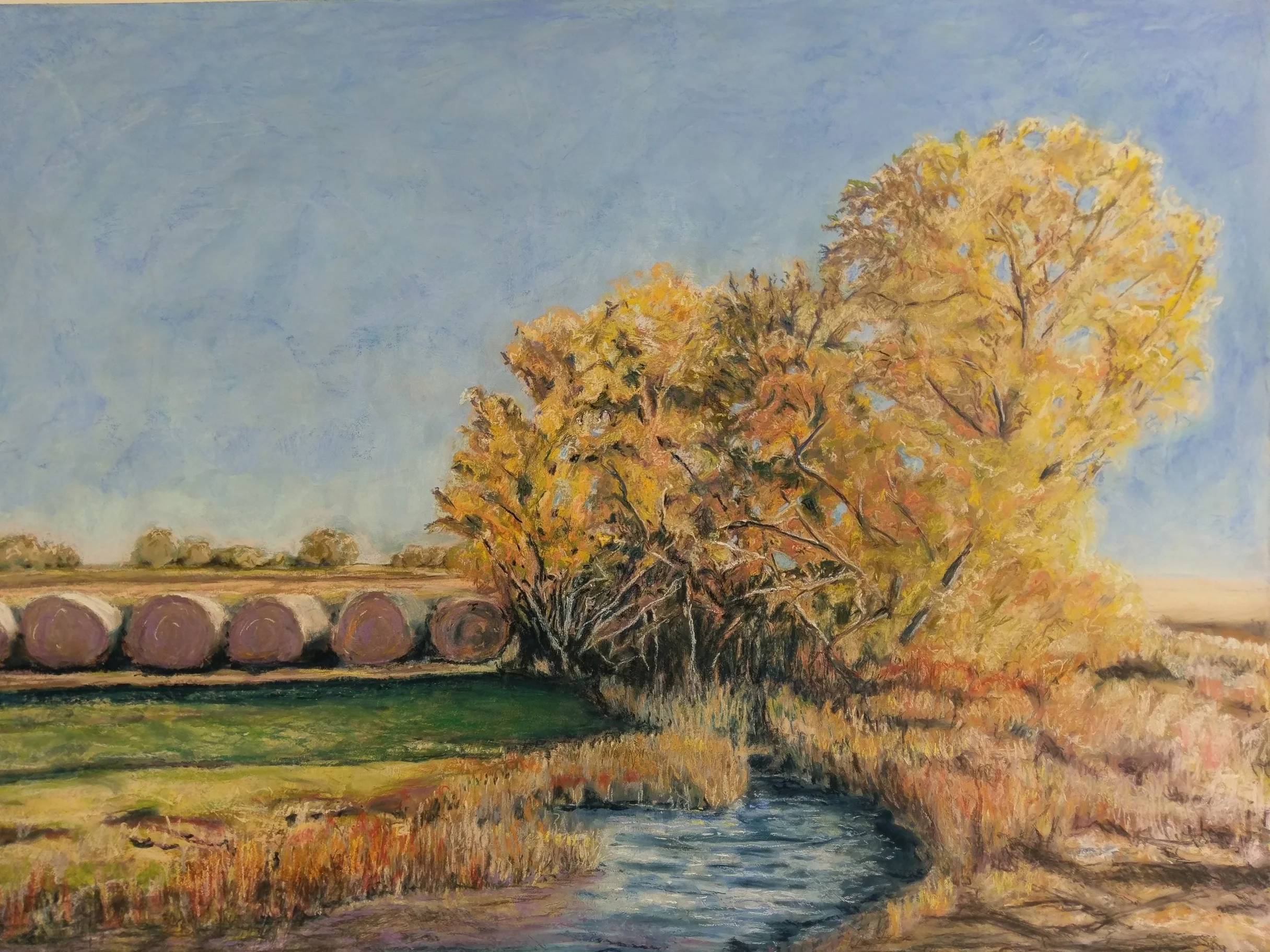 Autumn Walk