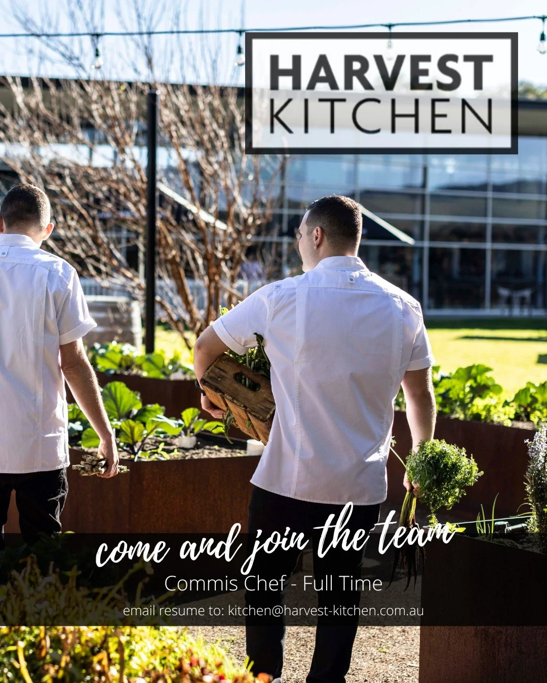 We’re on the hunt for a passionate Commis Chef to join our Harvest Kitchen team! π¨‍π³πΏIf you love creating delicious food inspired by Mediterranean and Middle Eastern flavours, and want to learn and grow under the guidance of an experienc
