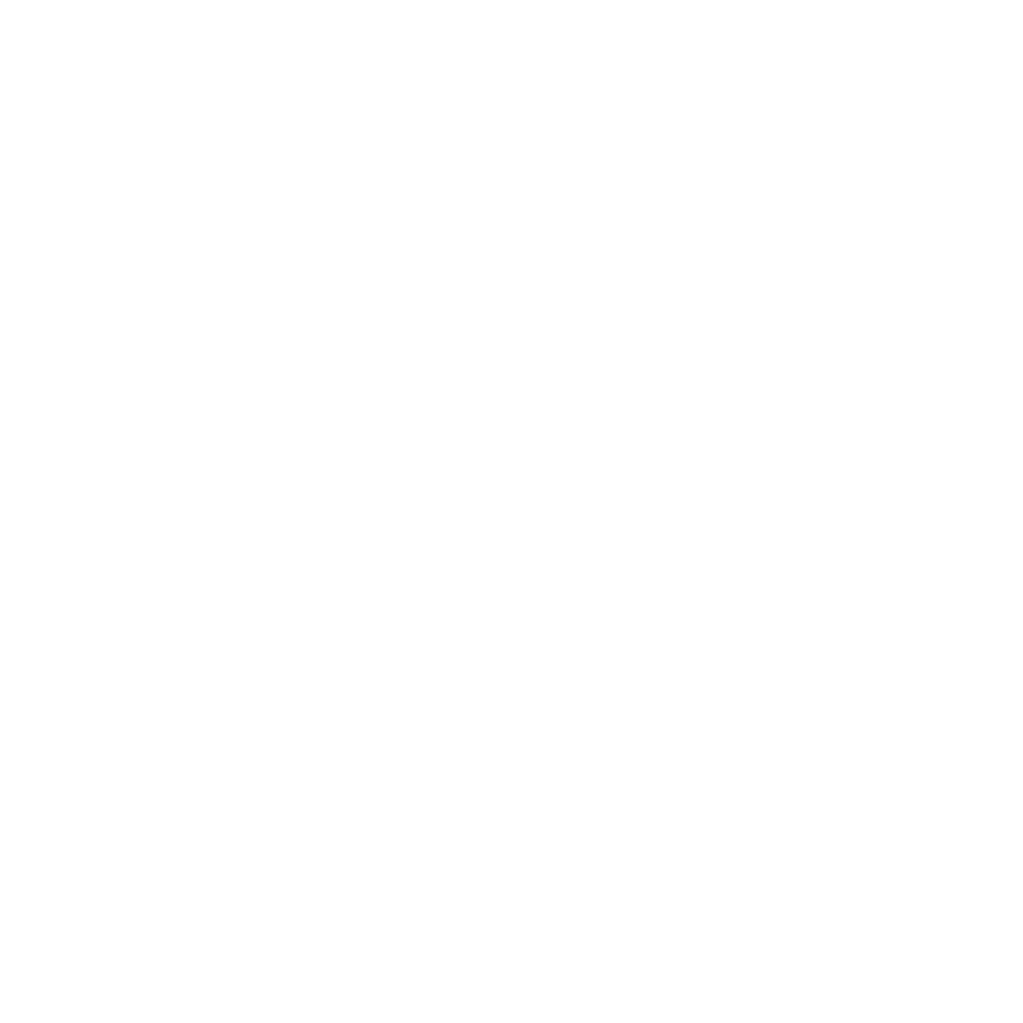 Our Fleet — King's VIP Transportation