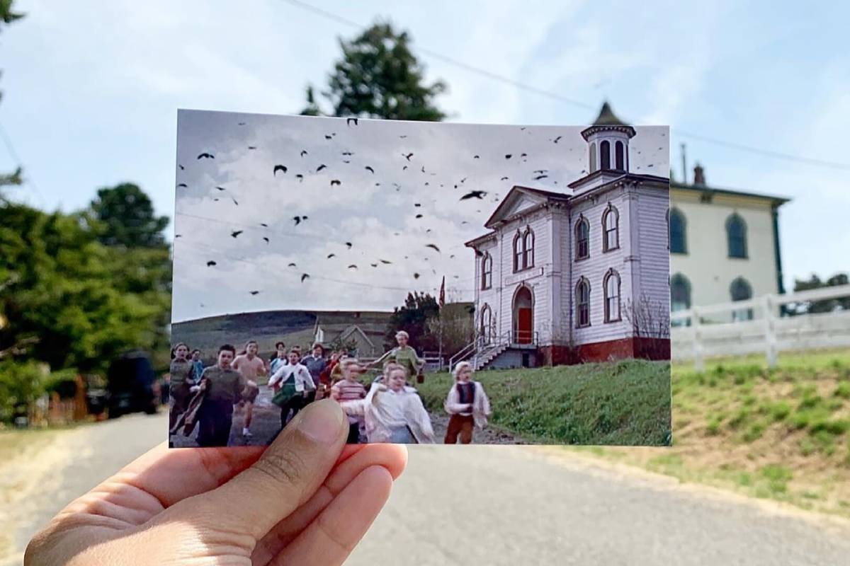 The-Birds-filming-locations.jpg