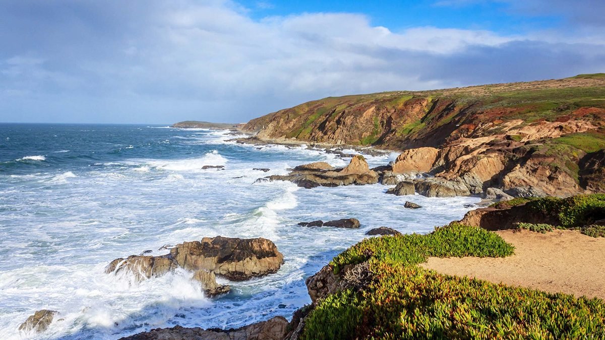 🌊 Bodega Bay & Sonoma Coast Scenic Day Tour | $108 | 08/15/2026