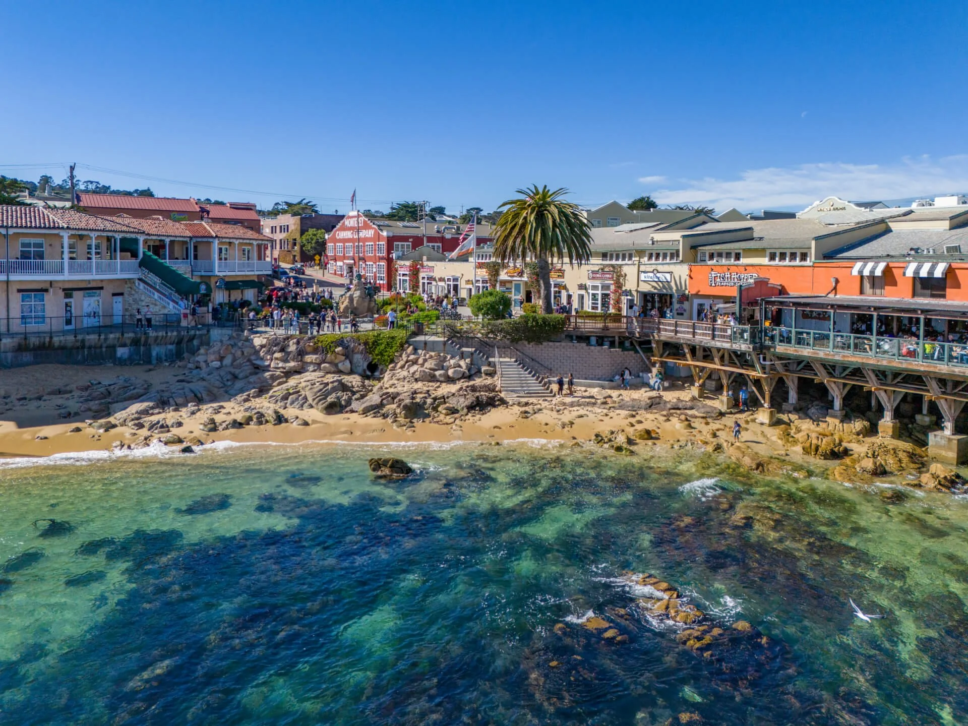 🚌 Monterey & Carmel Coastal Day Trip | $98 | June 28, 2026
