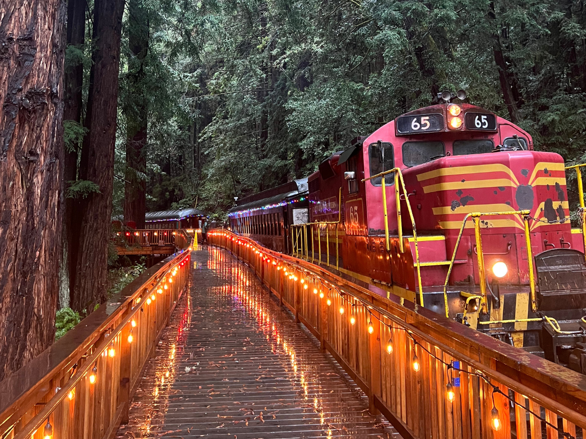 🚂 Skunk Train & City of Ten Thousand Buddhas Day Tour | $168 | 07/25/2026