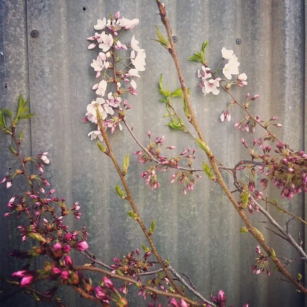 April Writing Intensive