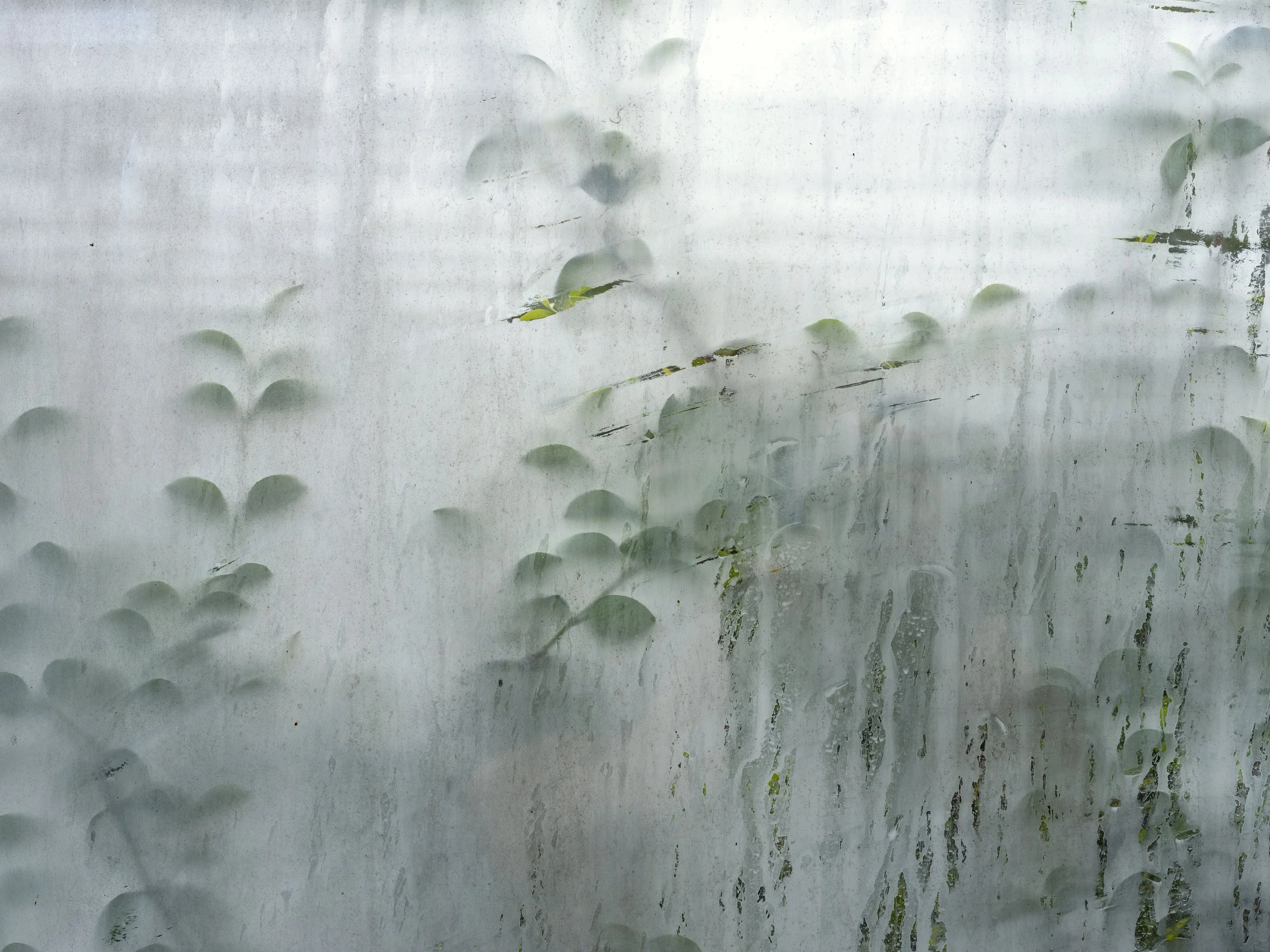 DutchgreenHouses  - Amigra-7237CR.jpg