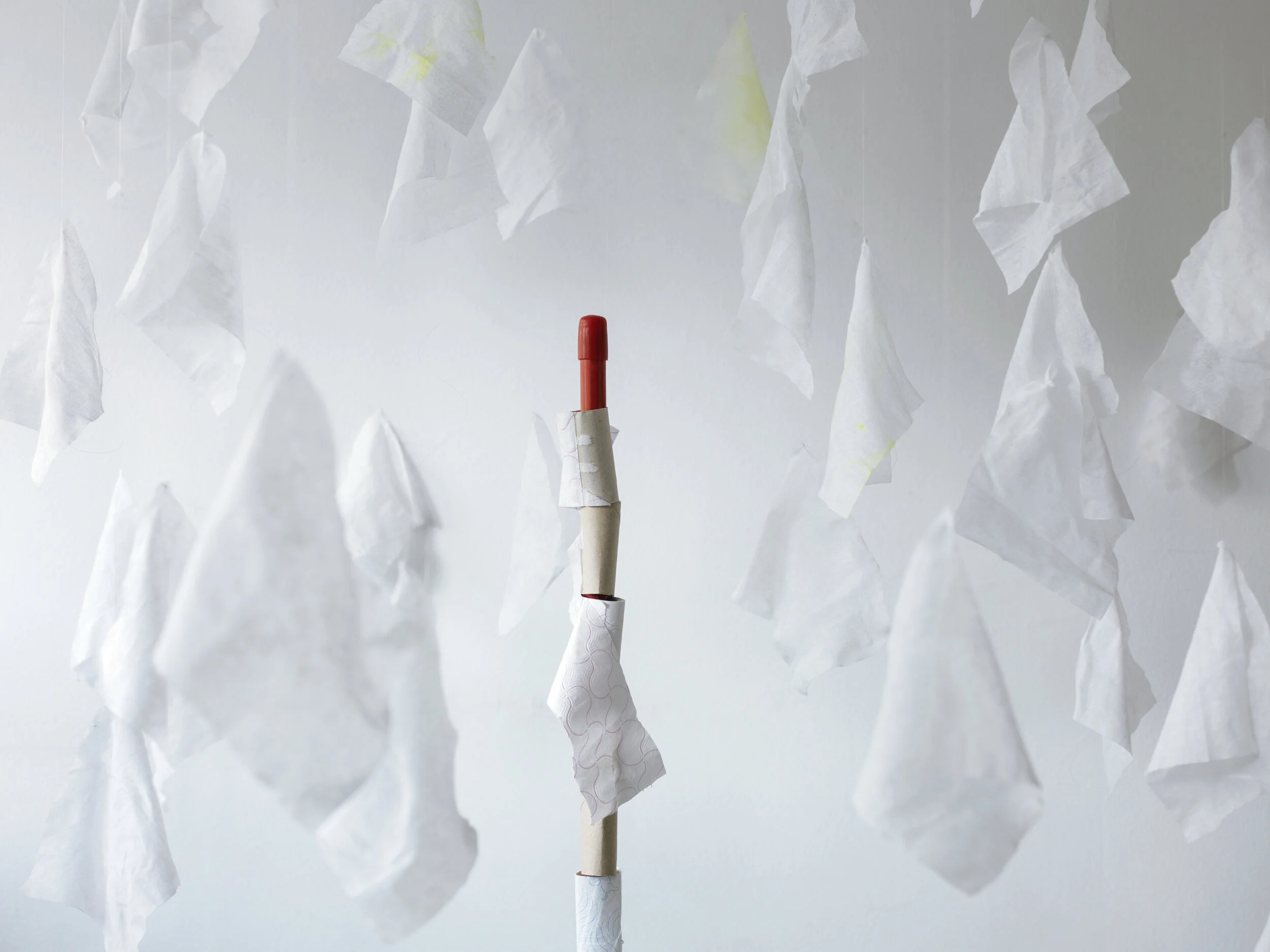 02-LockdownWaste  - Wipes.jpg