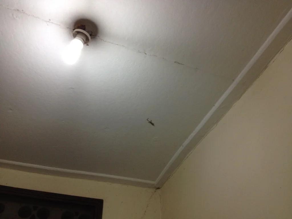 thumb_IMG_4150_1024.jpg