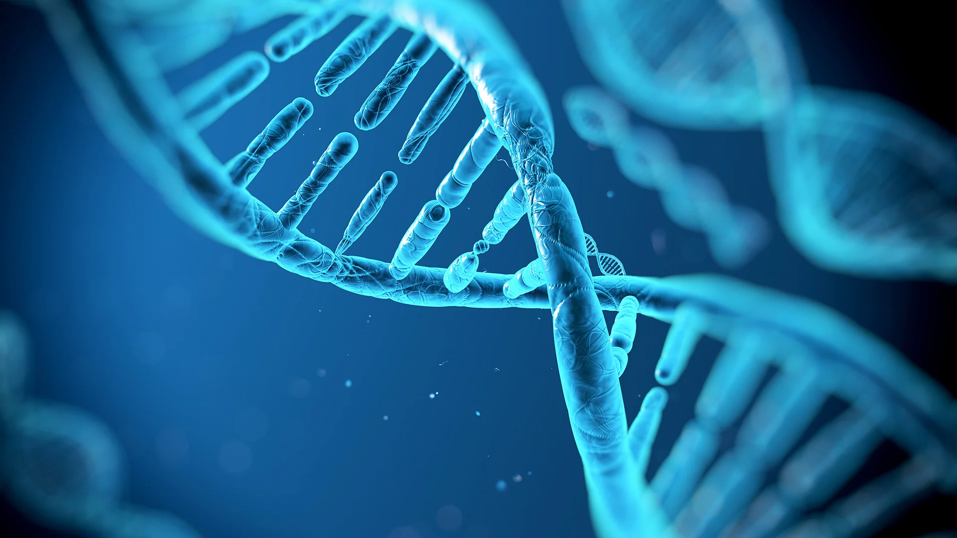 DNA Transfusion