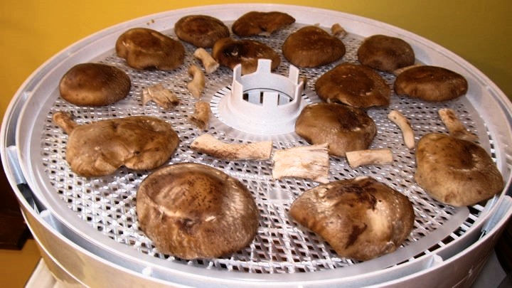 Dehydrate leftovers