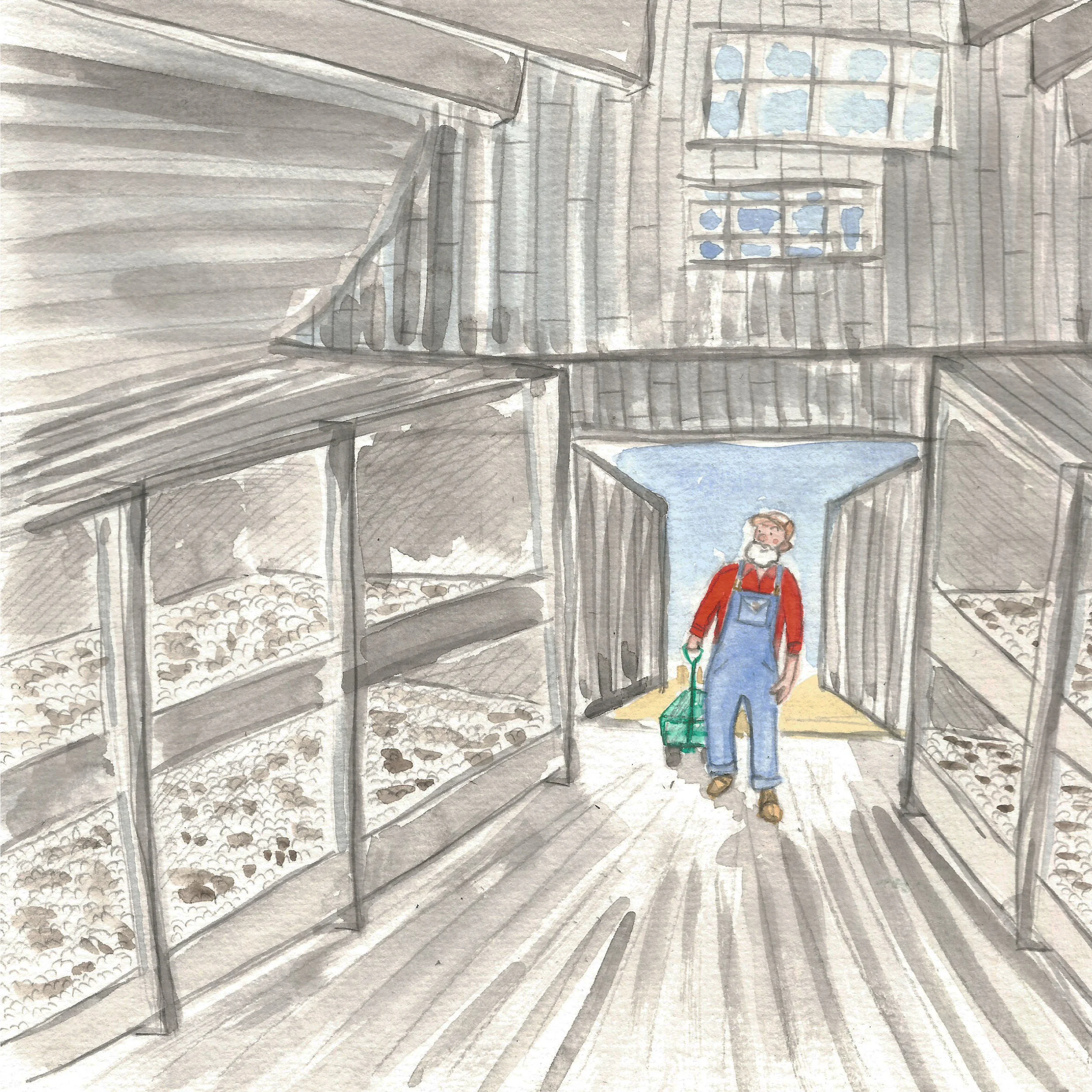 Reilly Mushroom Farm 2.jpg