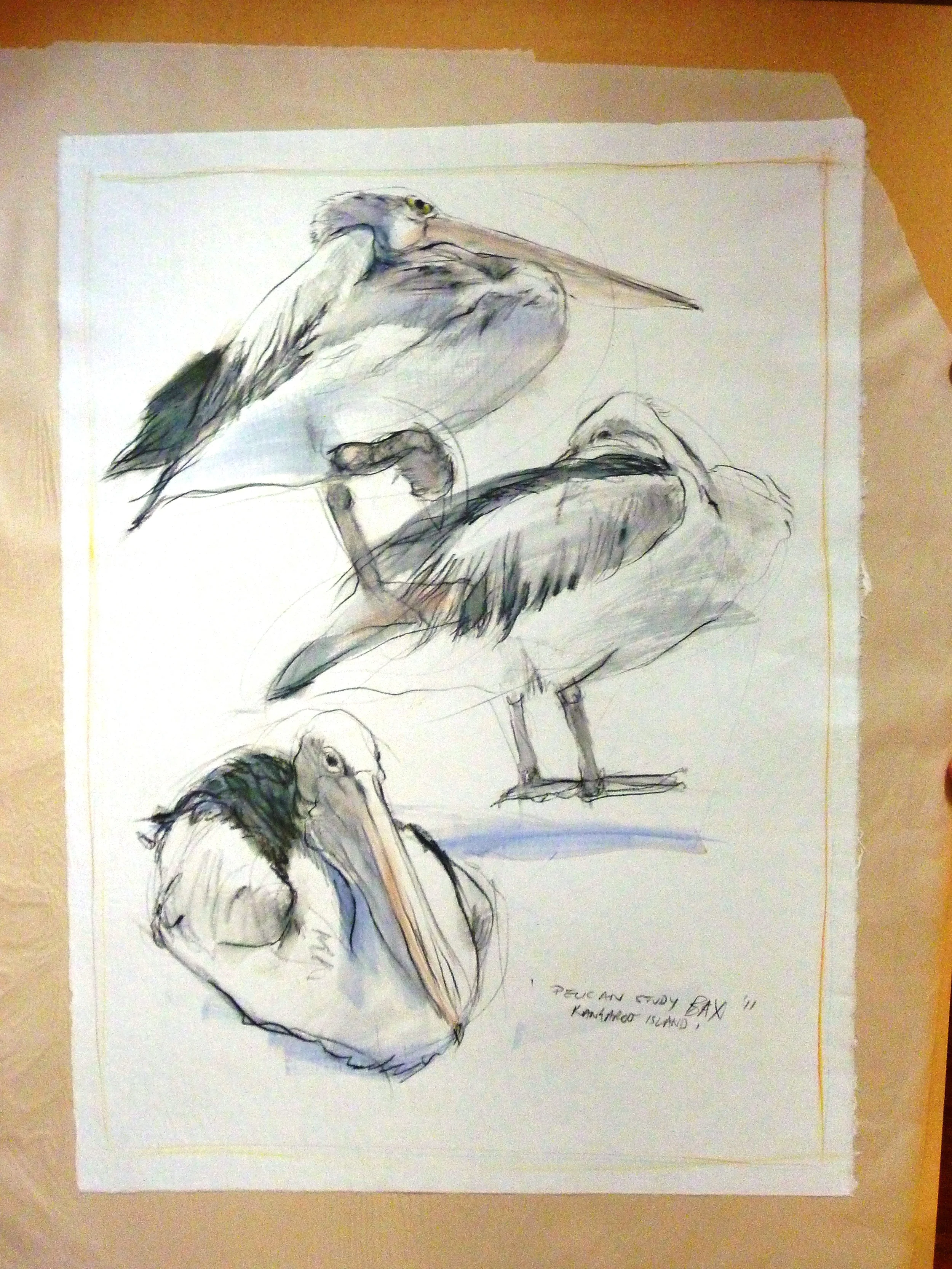 P1010808 copy.jpg
