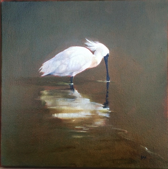 Spoonbill