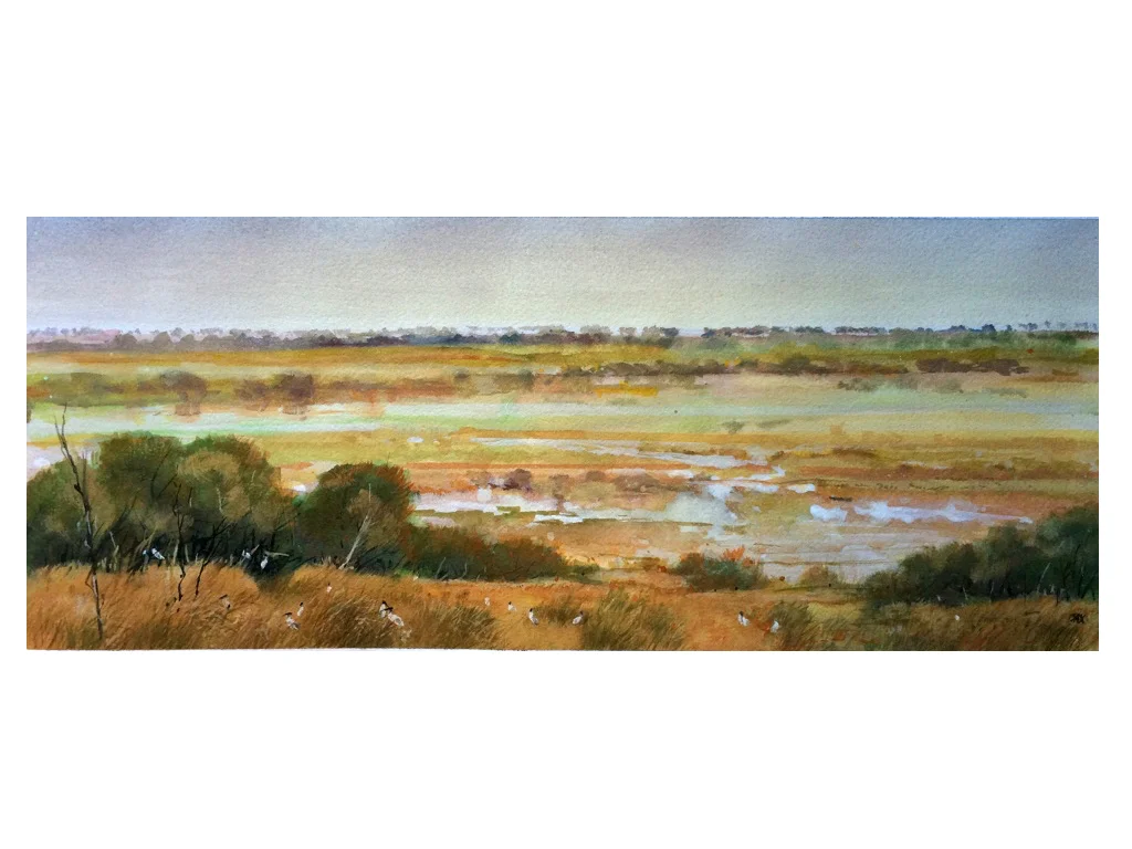 mandina wetlands study summer