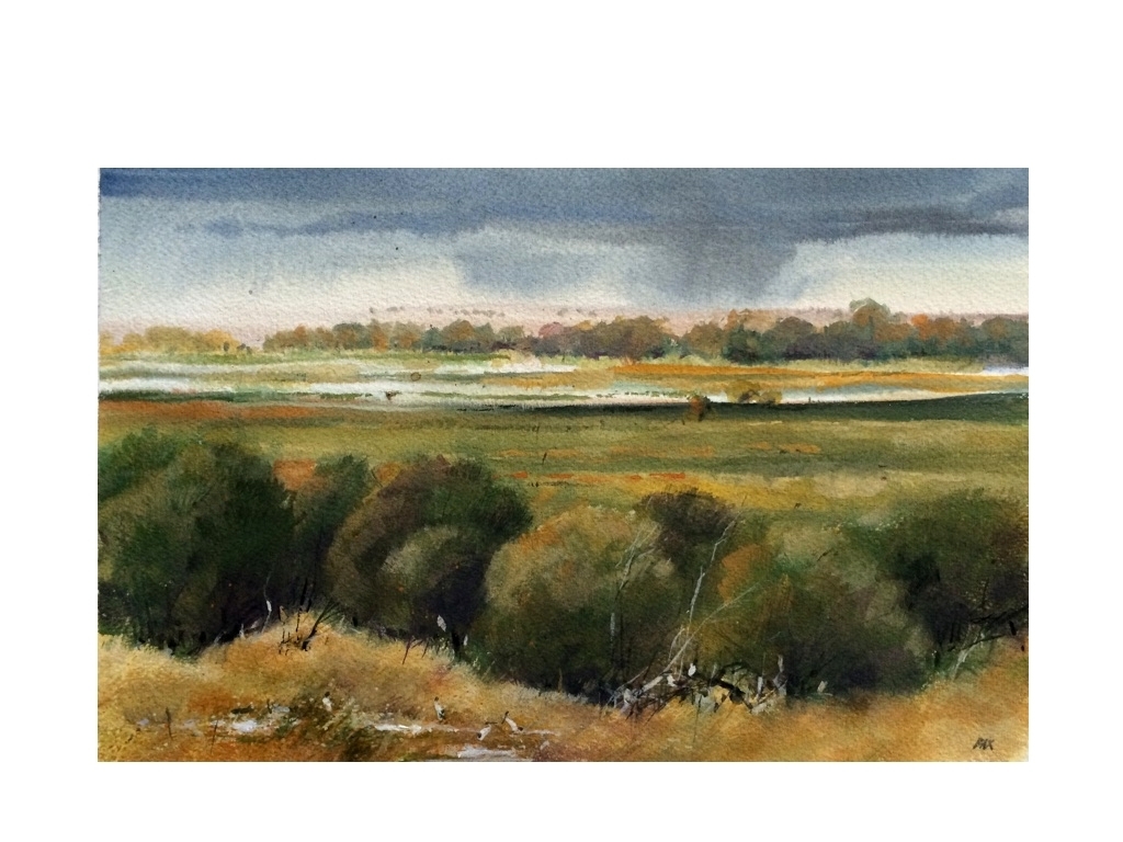 wetlands south east study