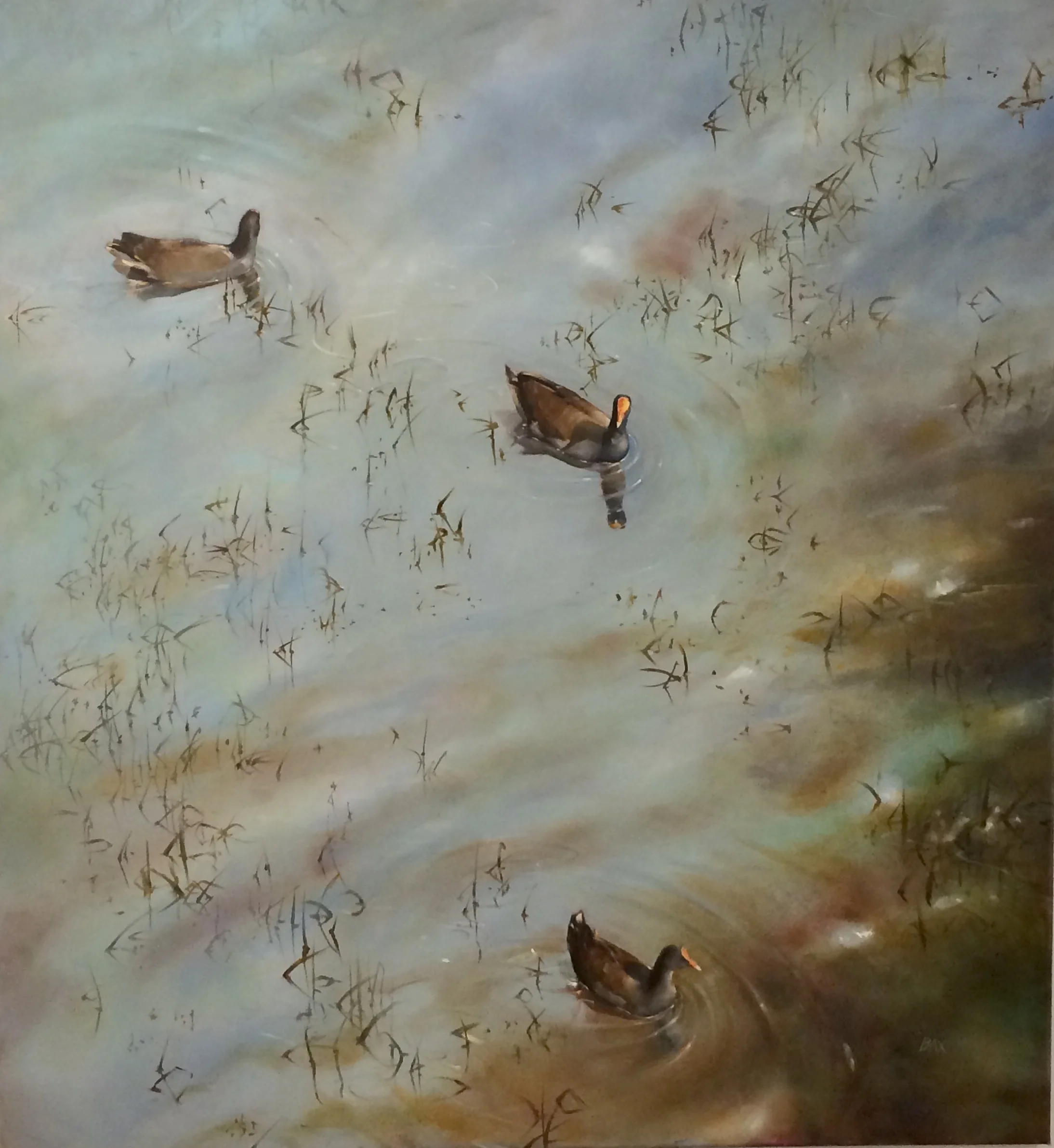MOORHEN LANDSCAPE