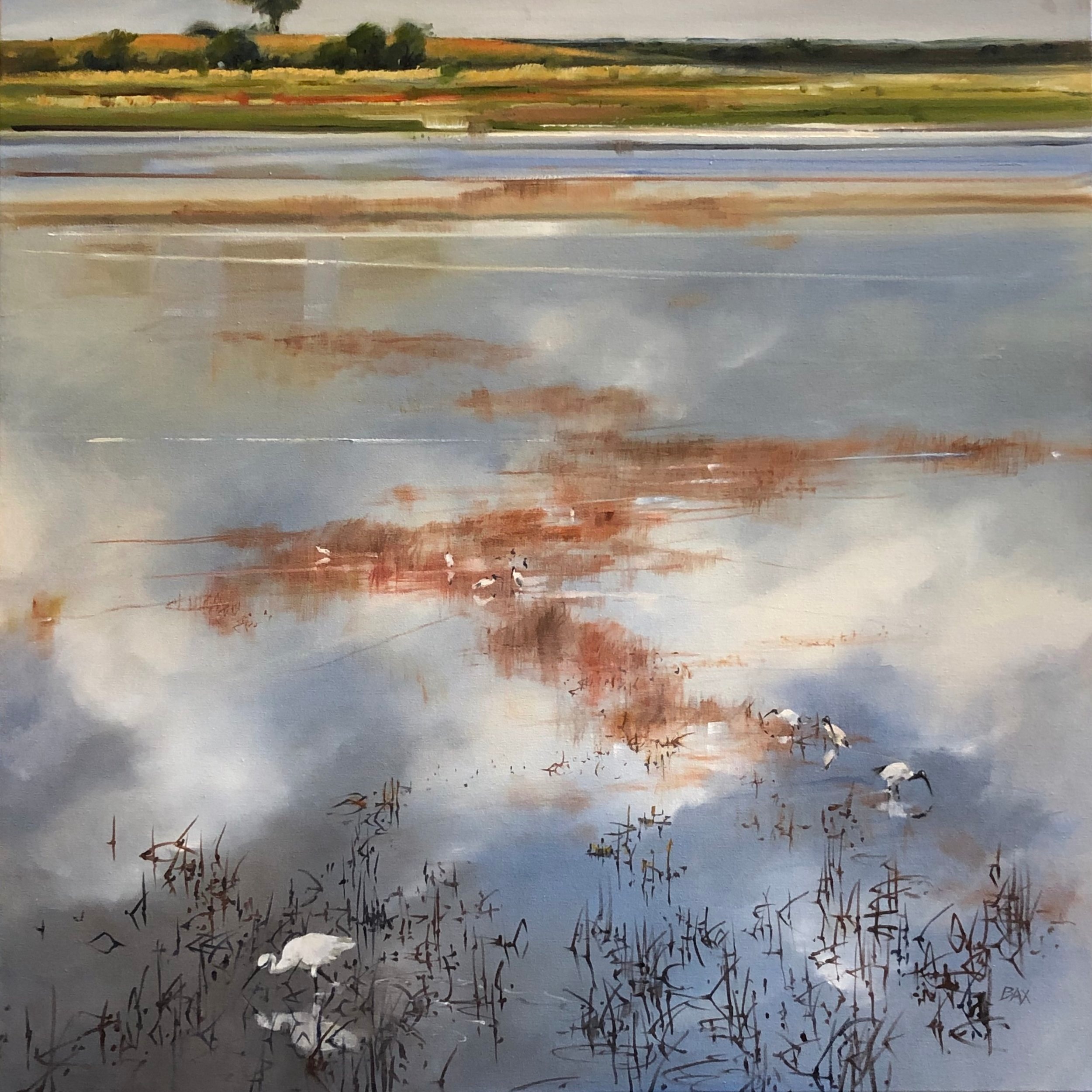 Bool Lagoon Study with egret