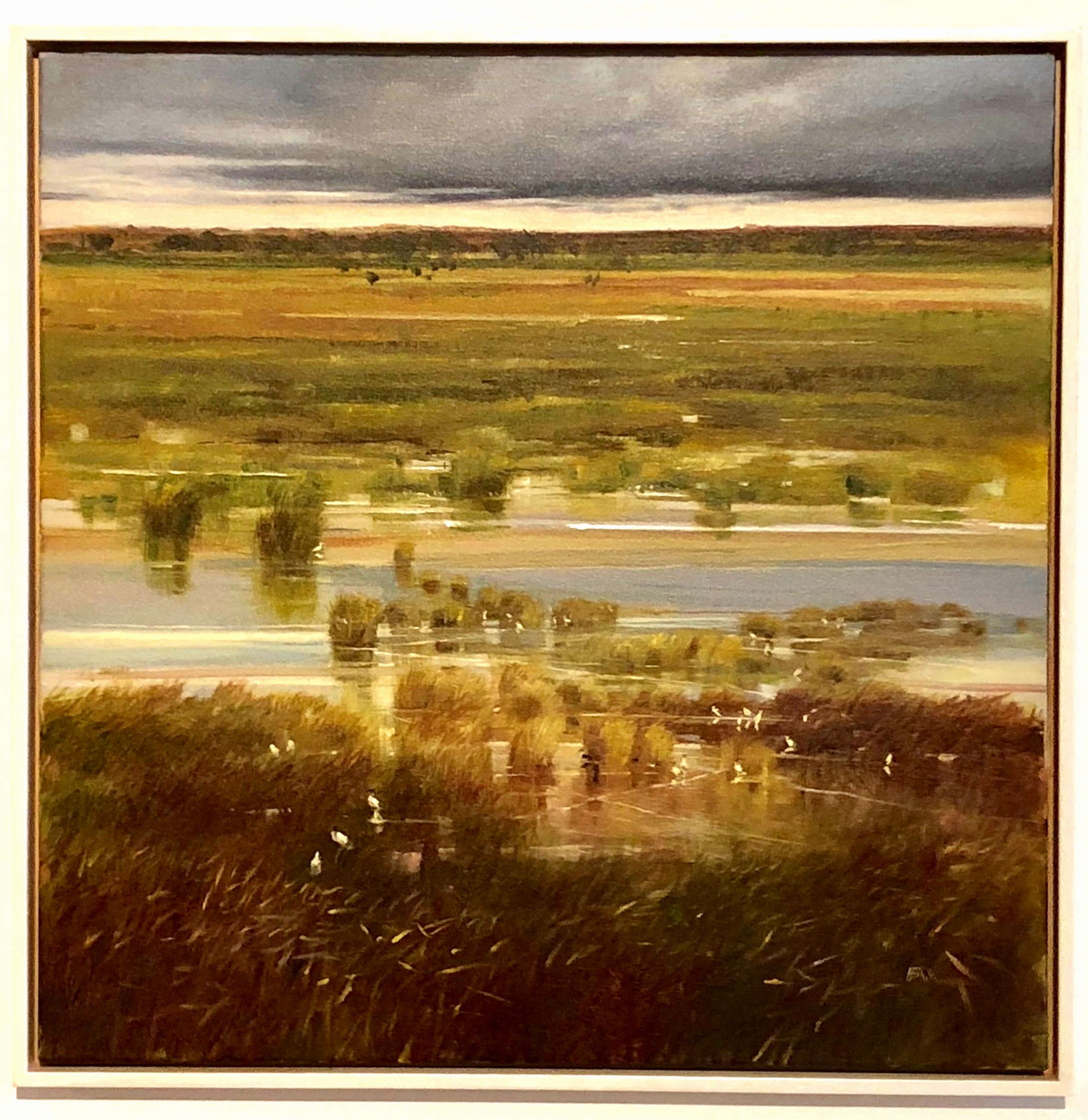 wetlands conversation