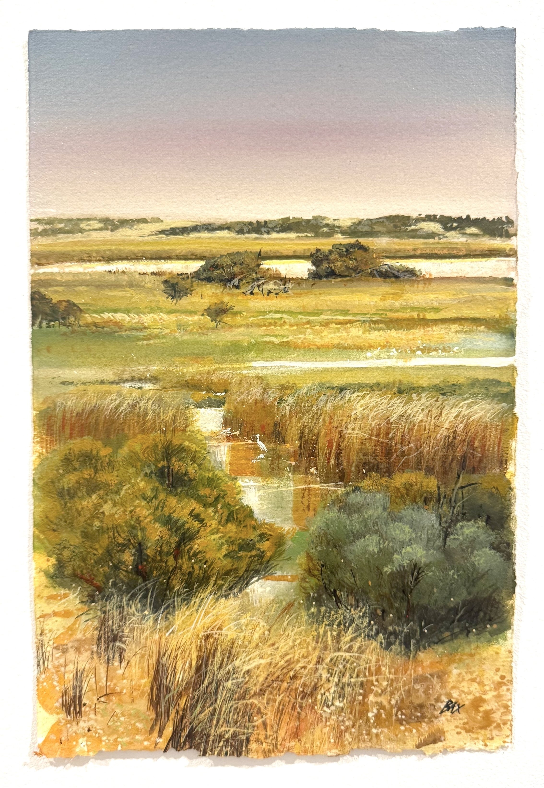 wetlands sketch