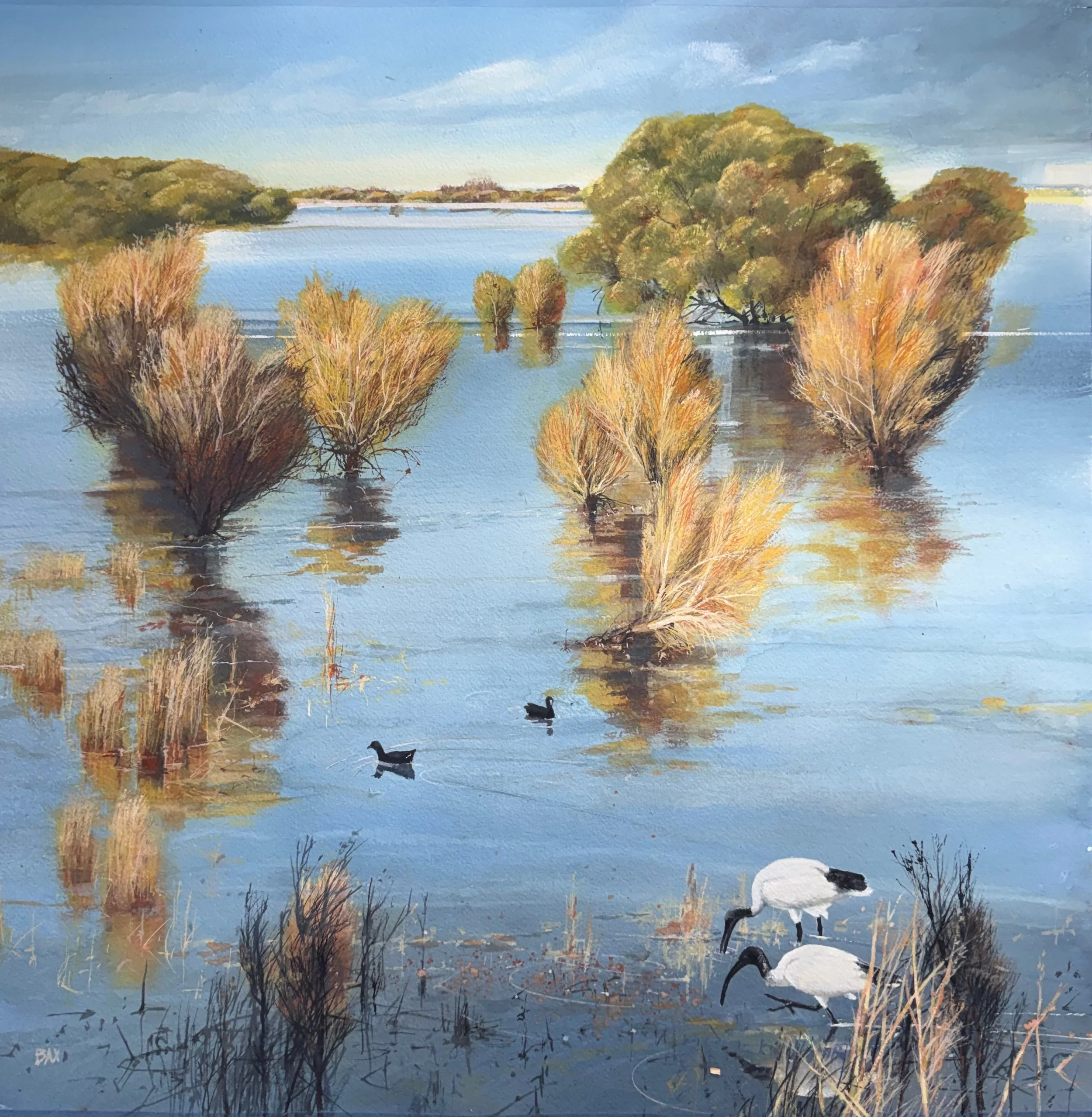 se wetlands