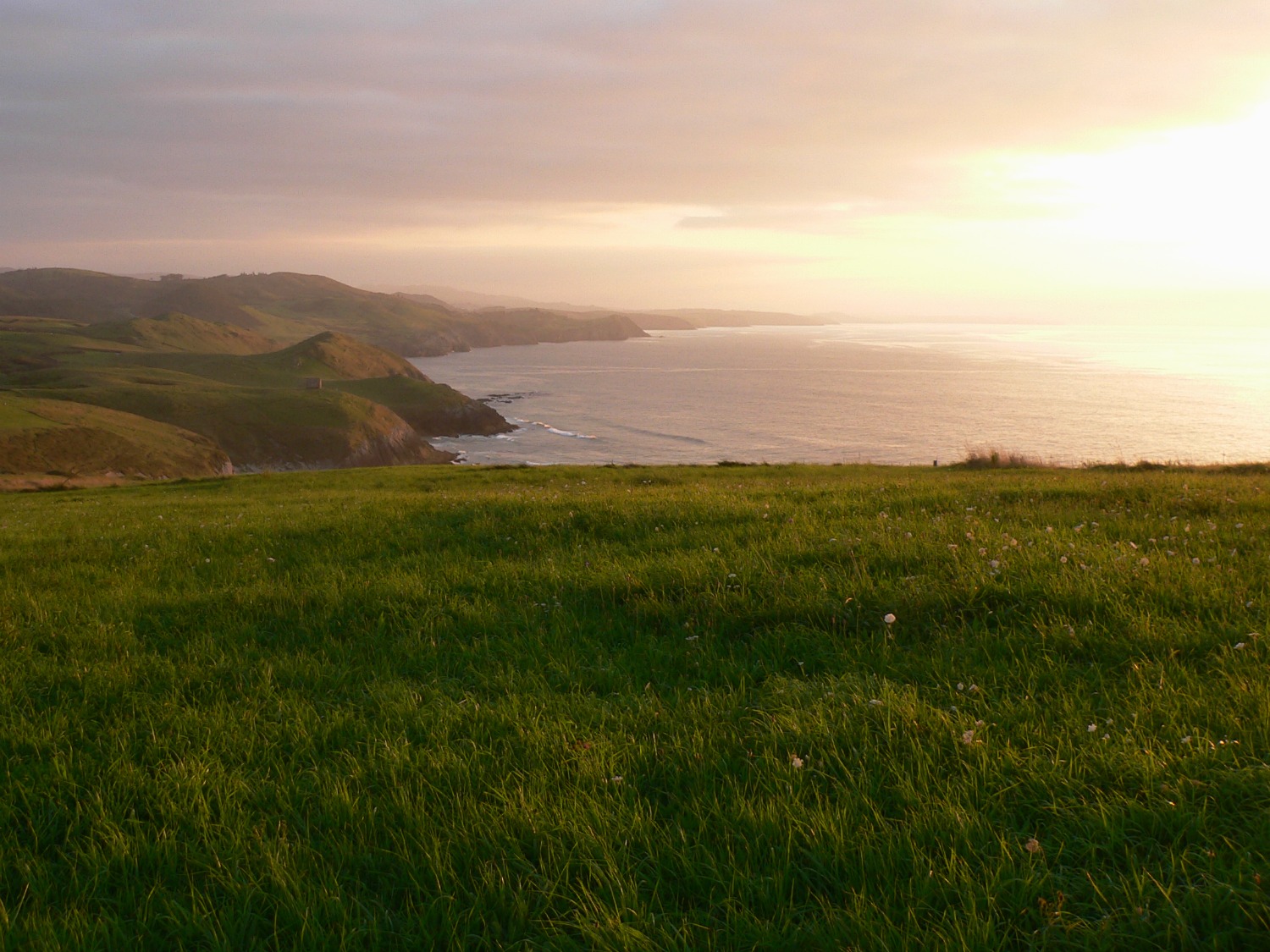  unspoilt coastal pasturelands 