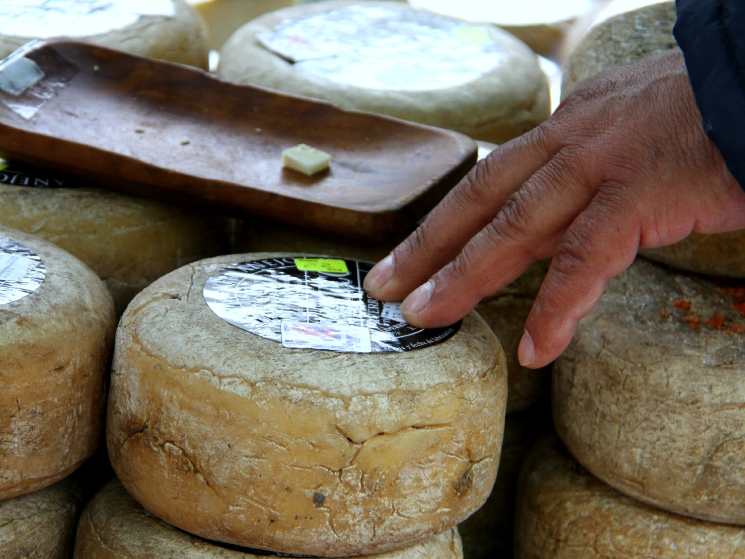  artisan cheesemakers 